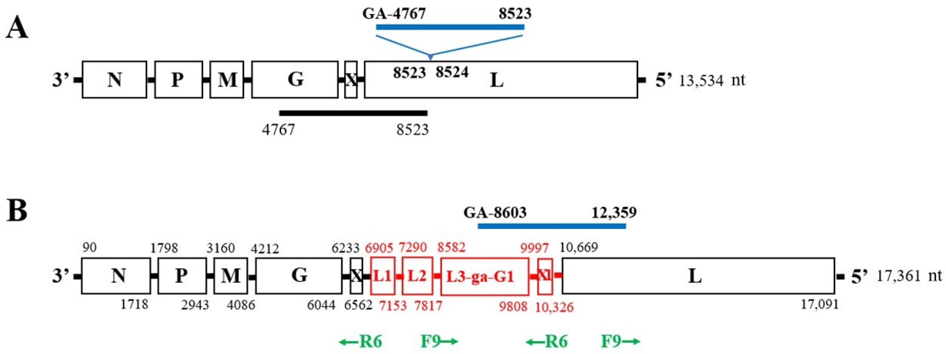 Viruses 15 01998 g001