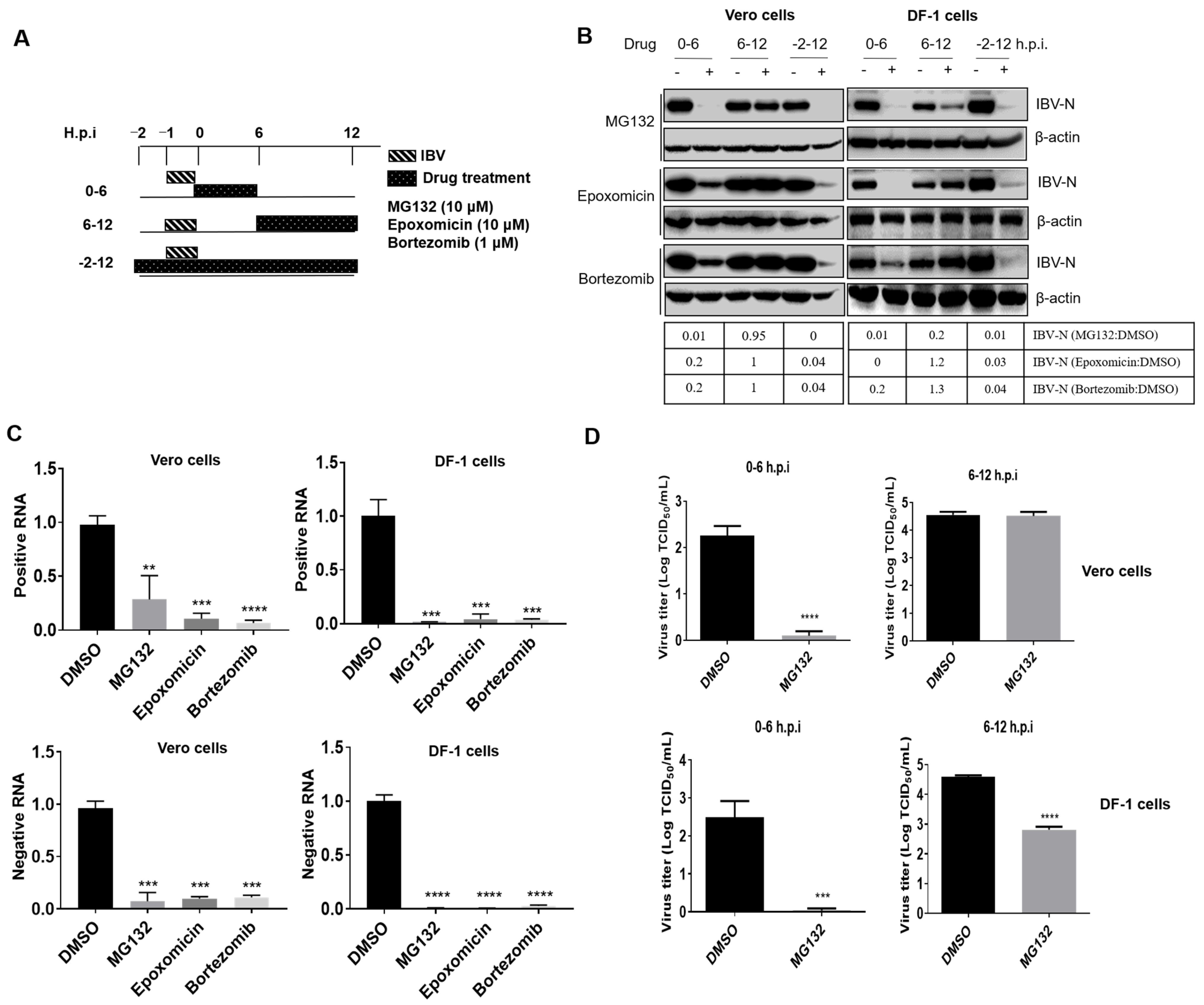 Viruses 15 02001 g002