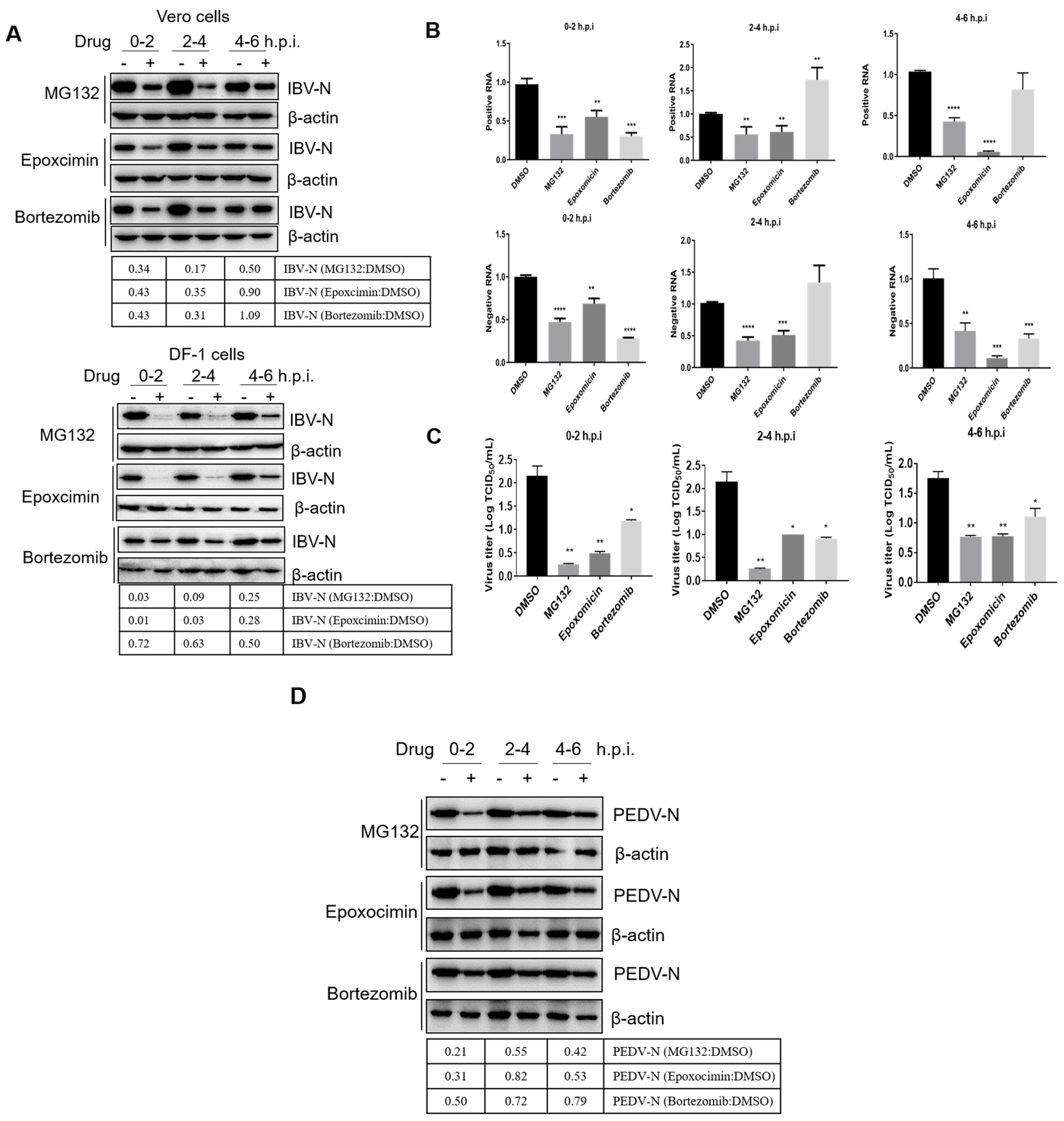 Viruses 15 02001 g003