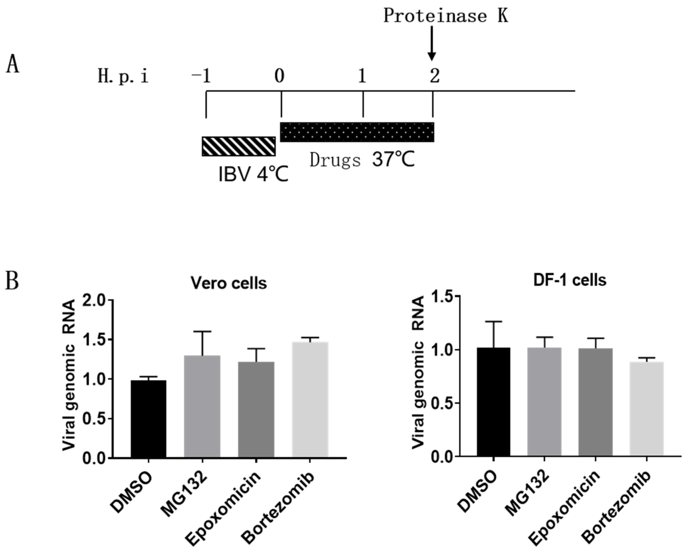 Viruses 15 02001 g004