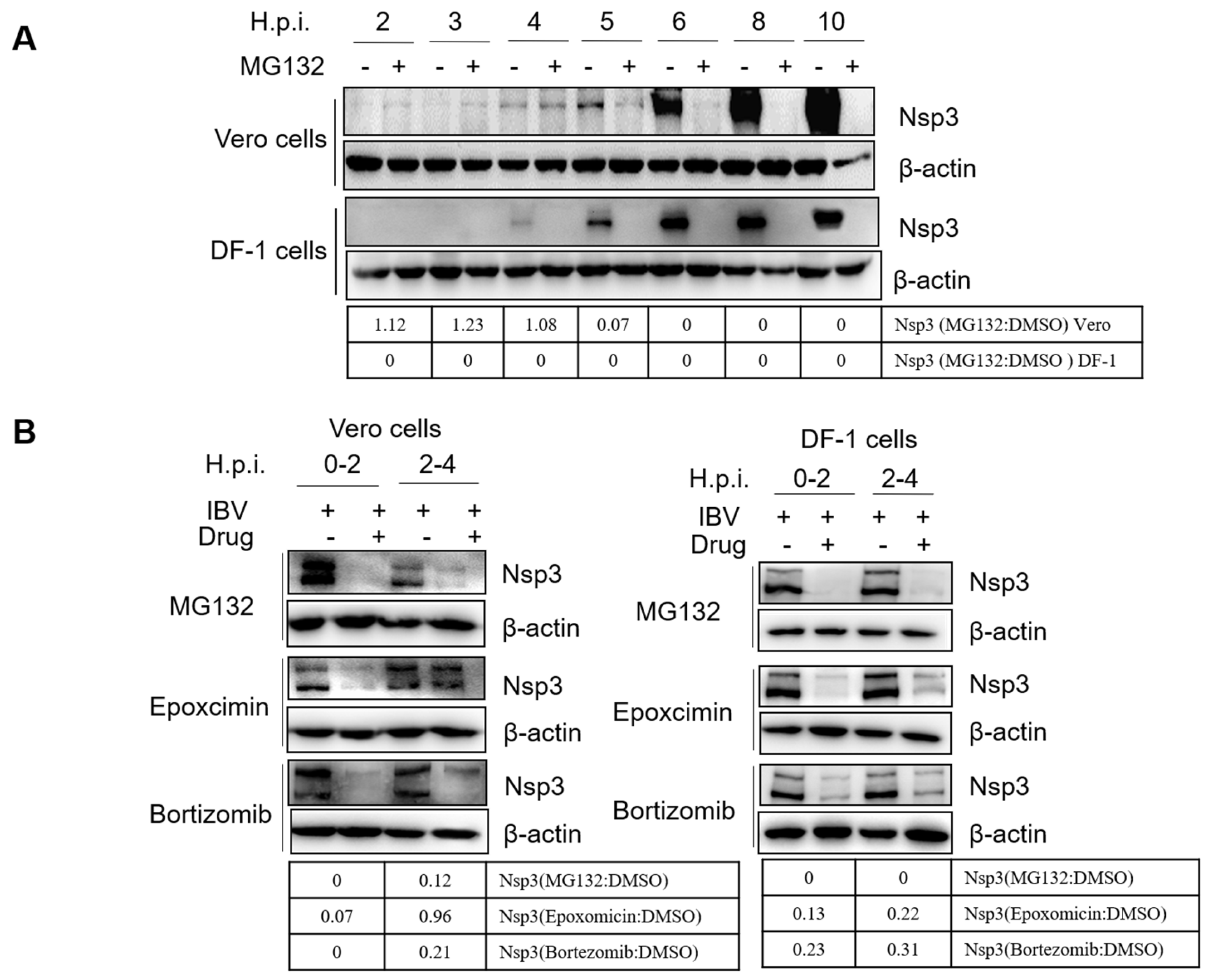 Viruses 15 02001 g007