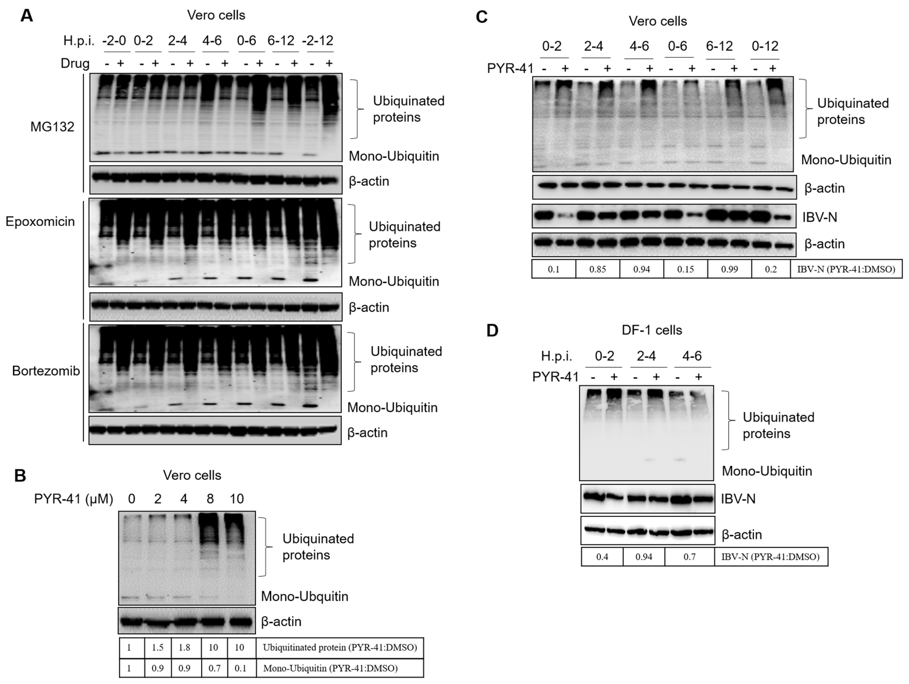 Viruses 15 02001 g008