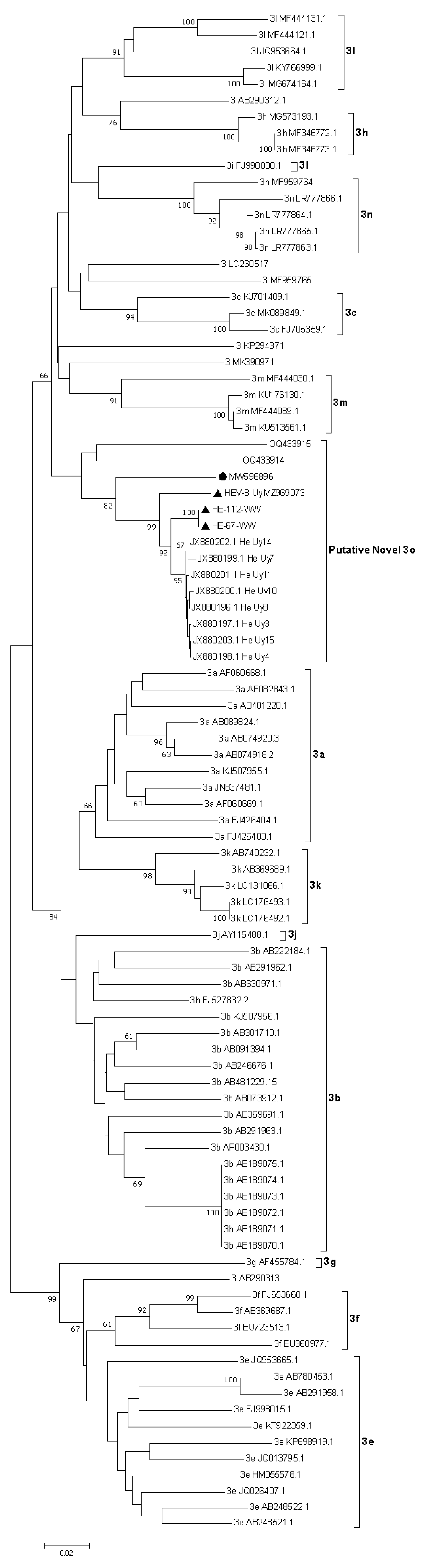Viruses 15 02006 g003