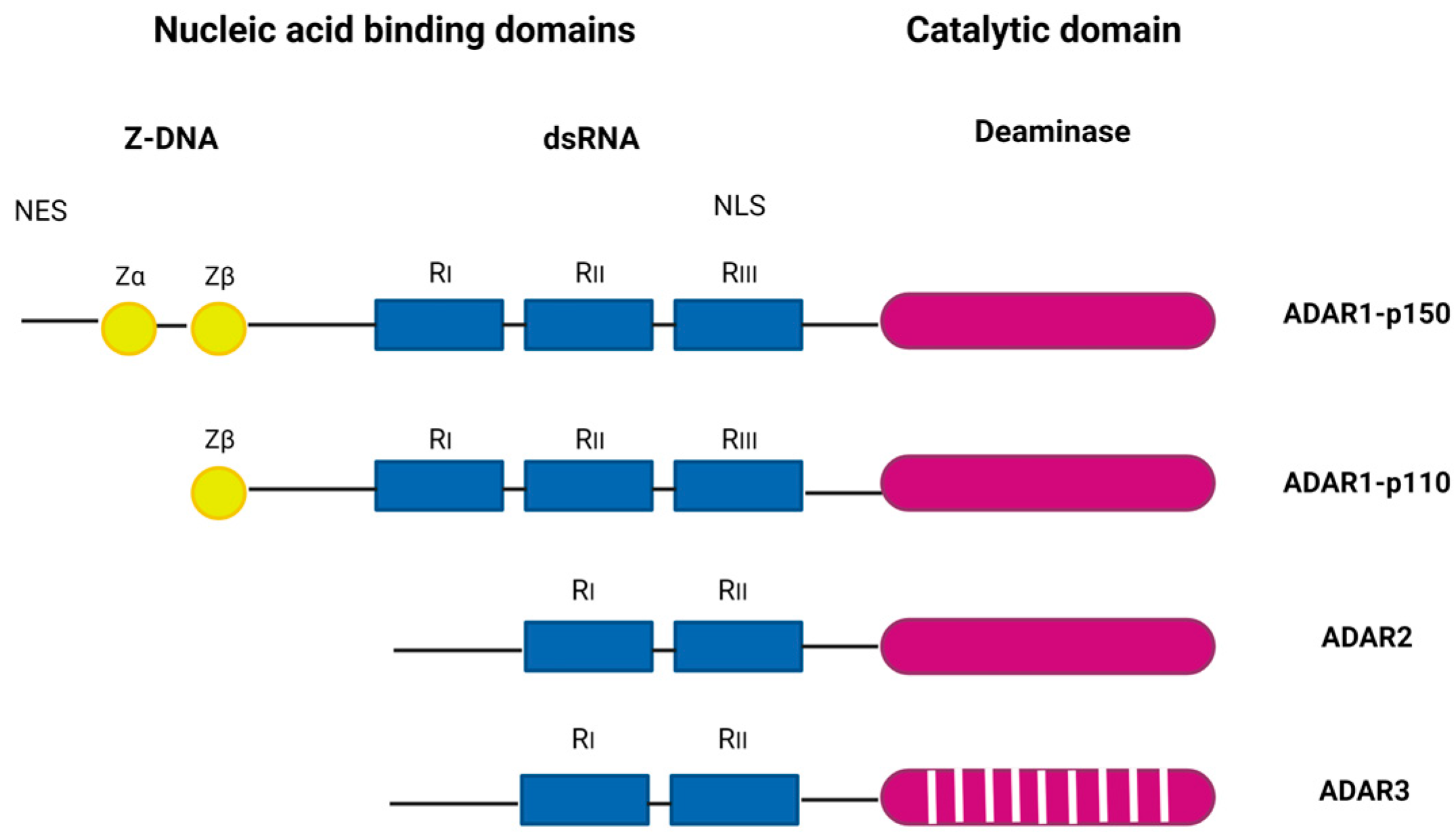 Viruses 15 02007 g001