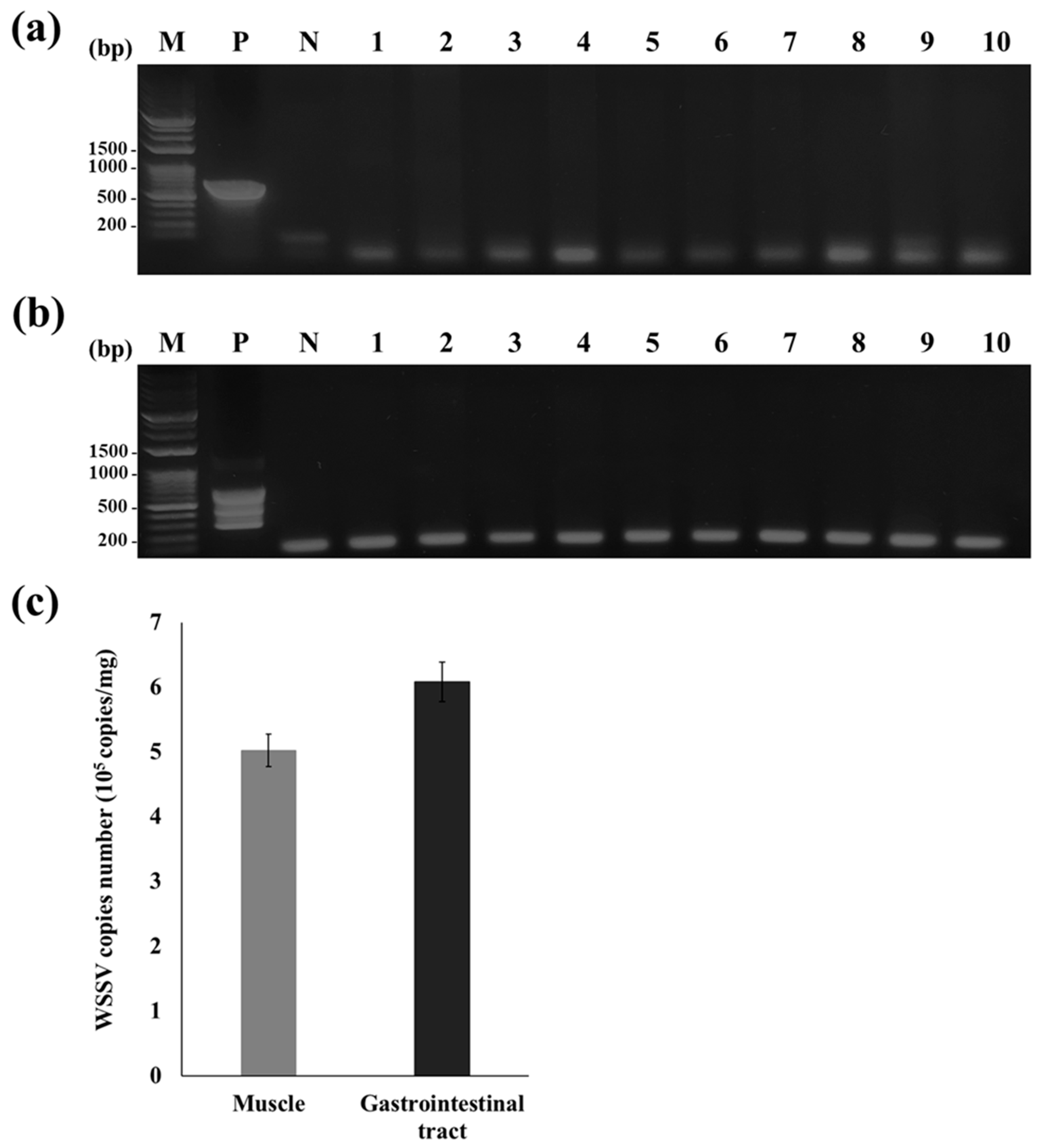 Viruses 15 02010 g003