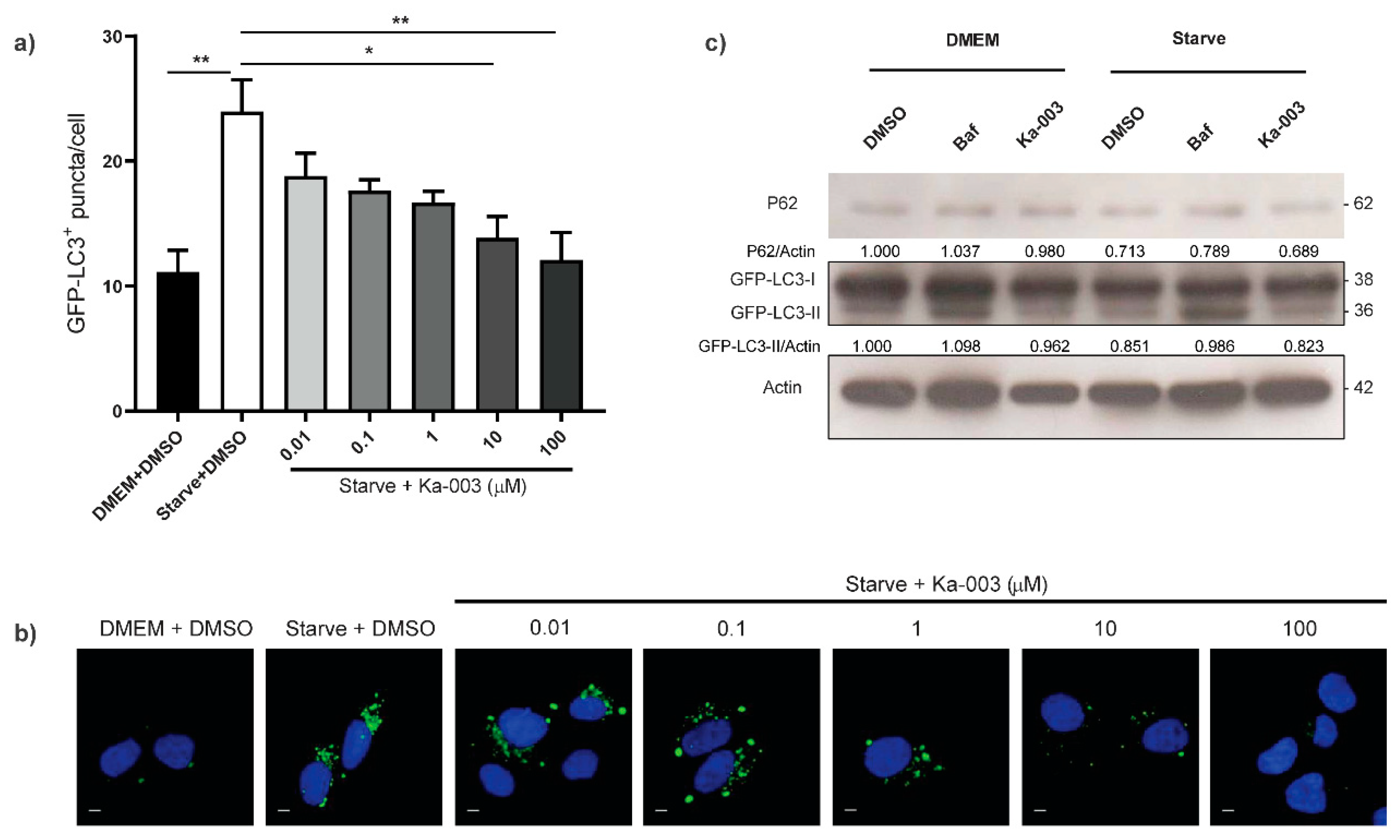 Viruses 15 02012 g002