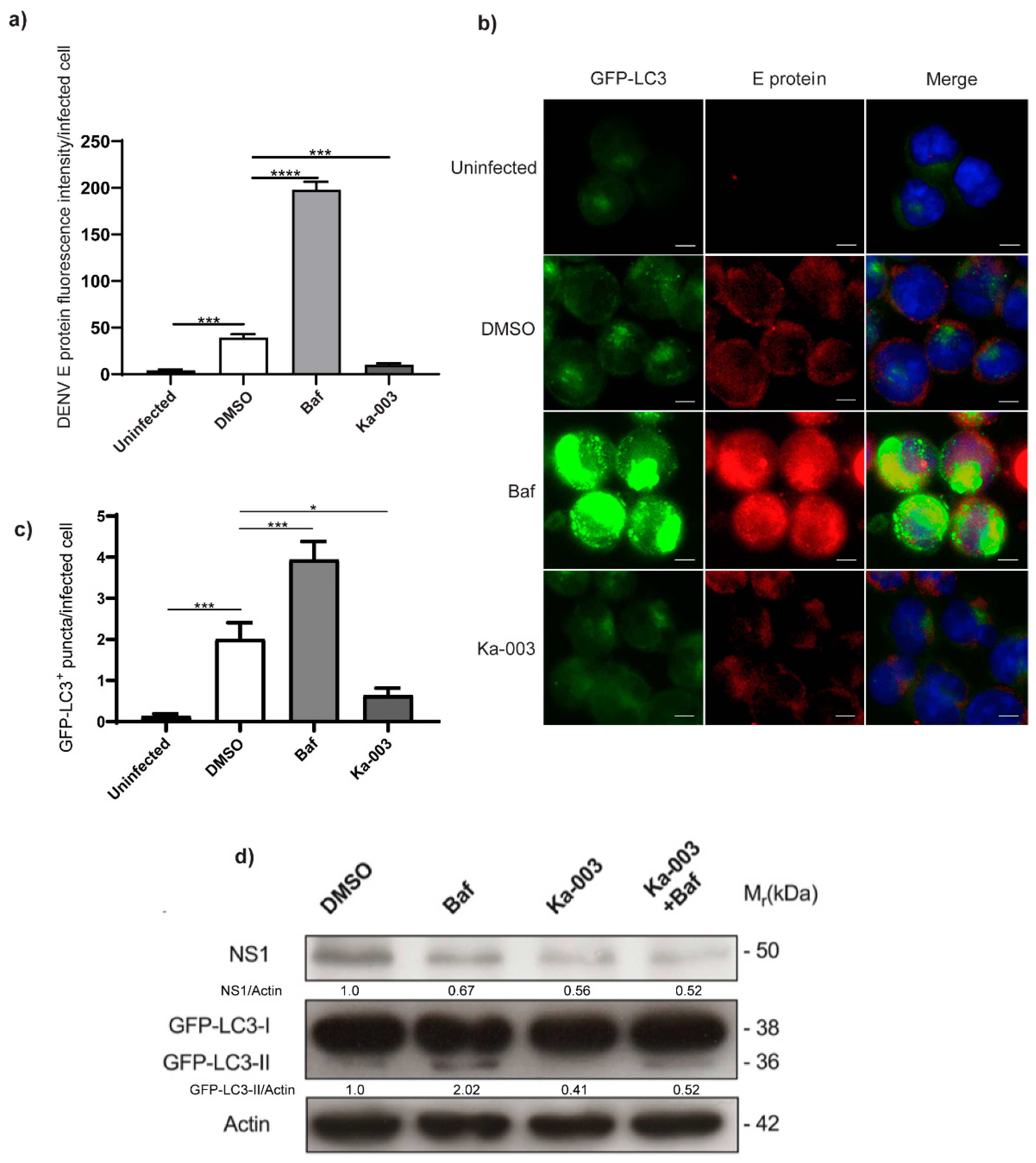Viruses 15 02012 g004