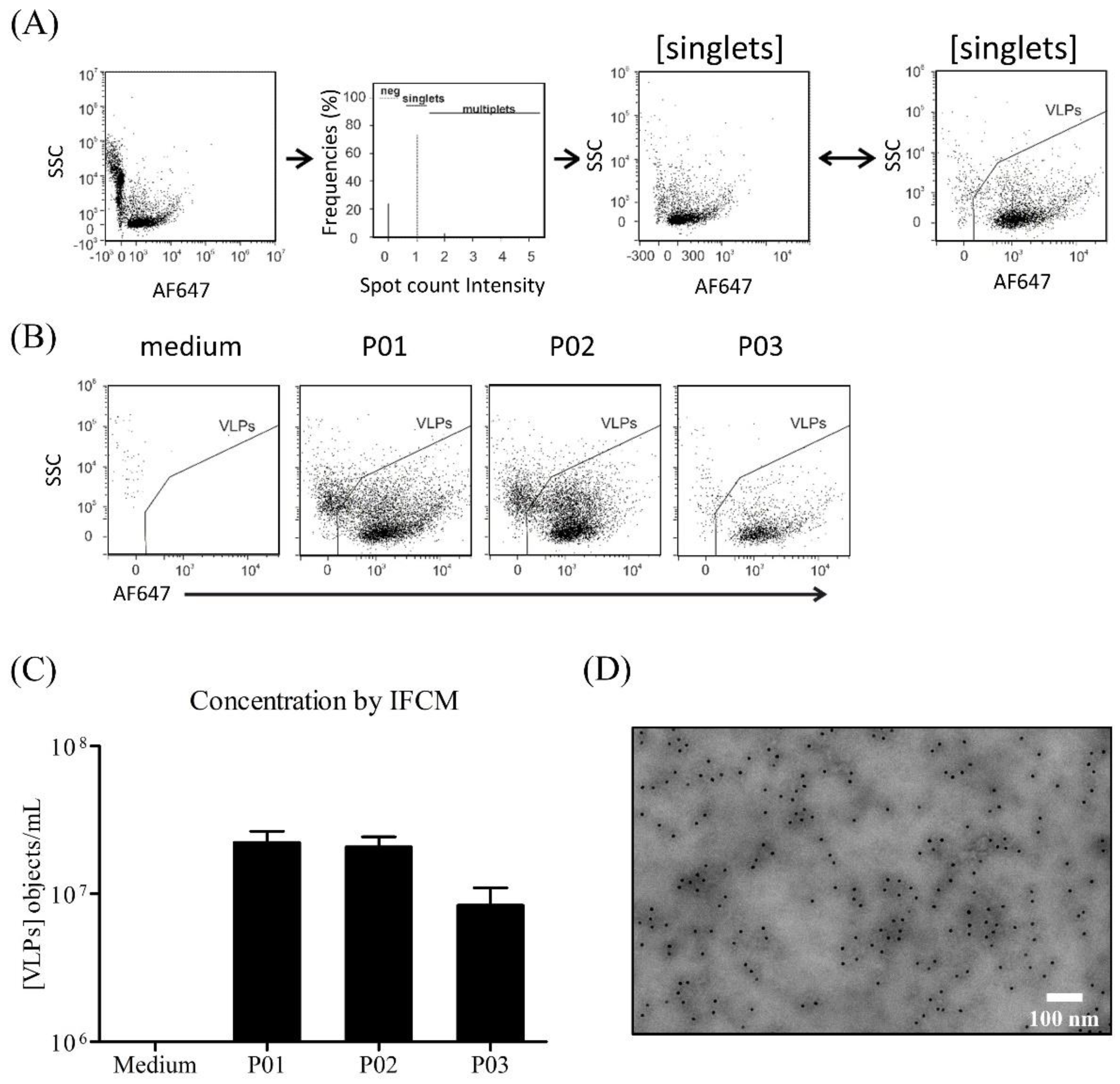 Viruses 15 02013 g007 Viruses 15 02013 g007
