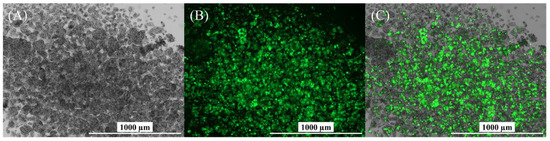 Viruses 15 02013 g0a7