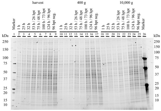 Viruses 15 02013 g0a9