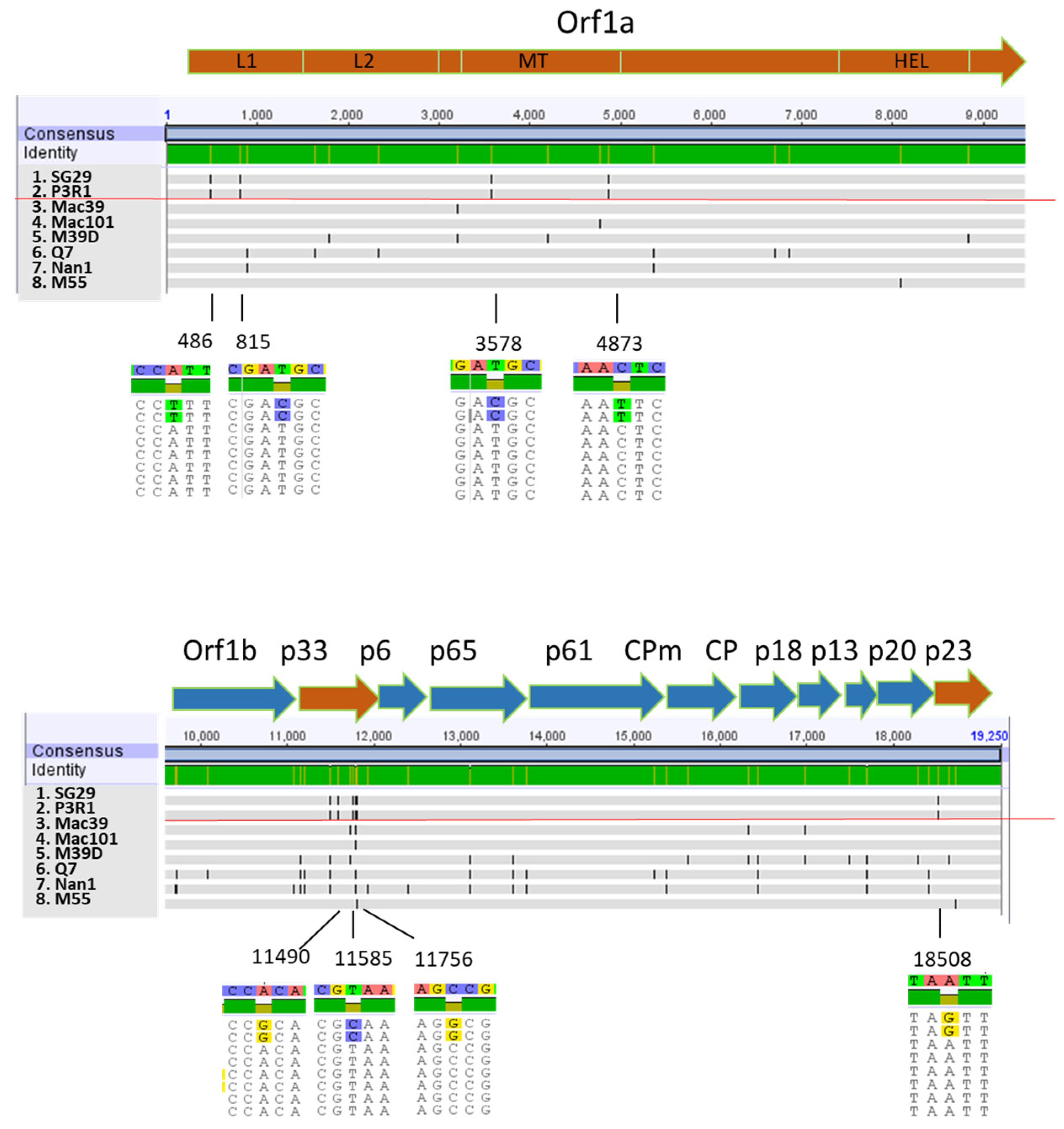 Viruses 15 02037 g003