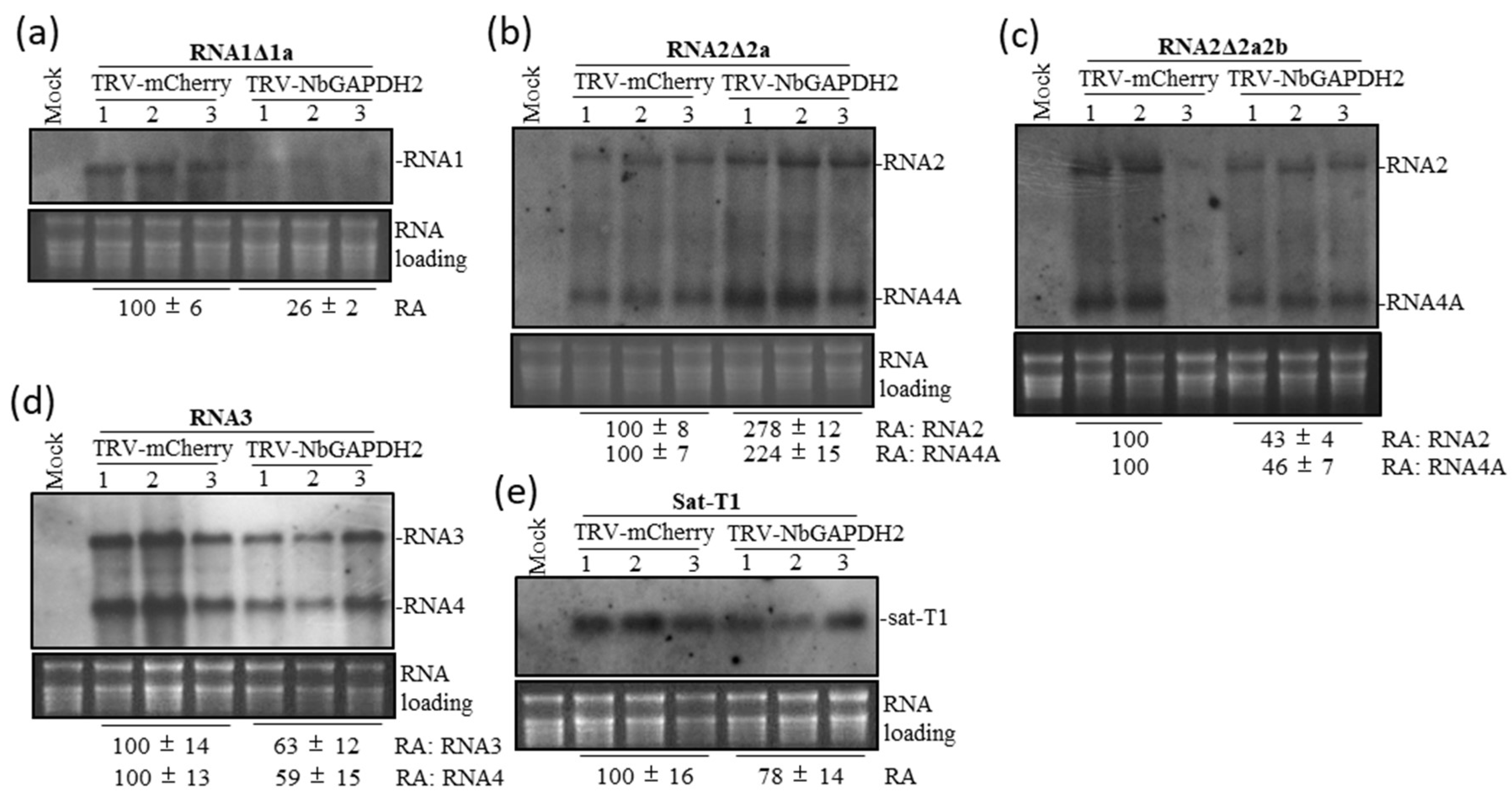 Viruses 15 02039 g004