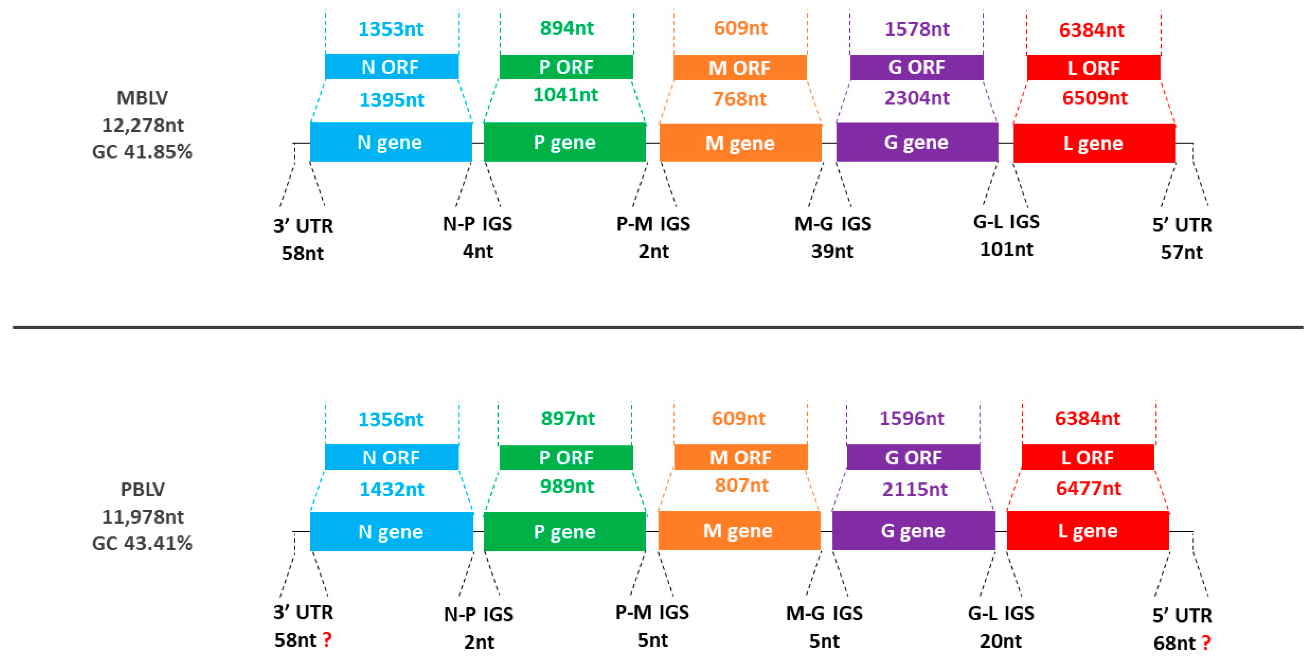 Viruses 15 02047 g001