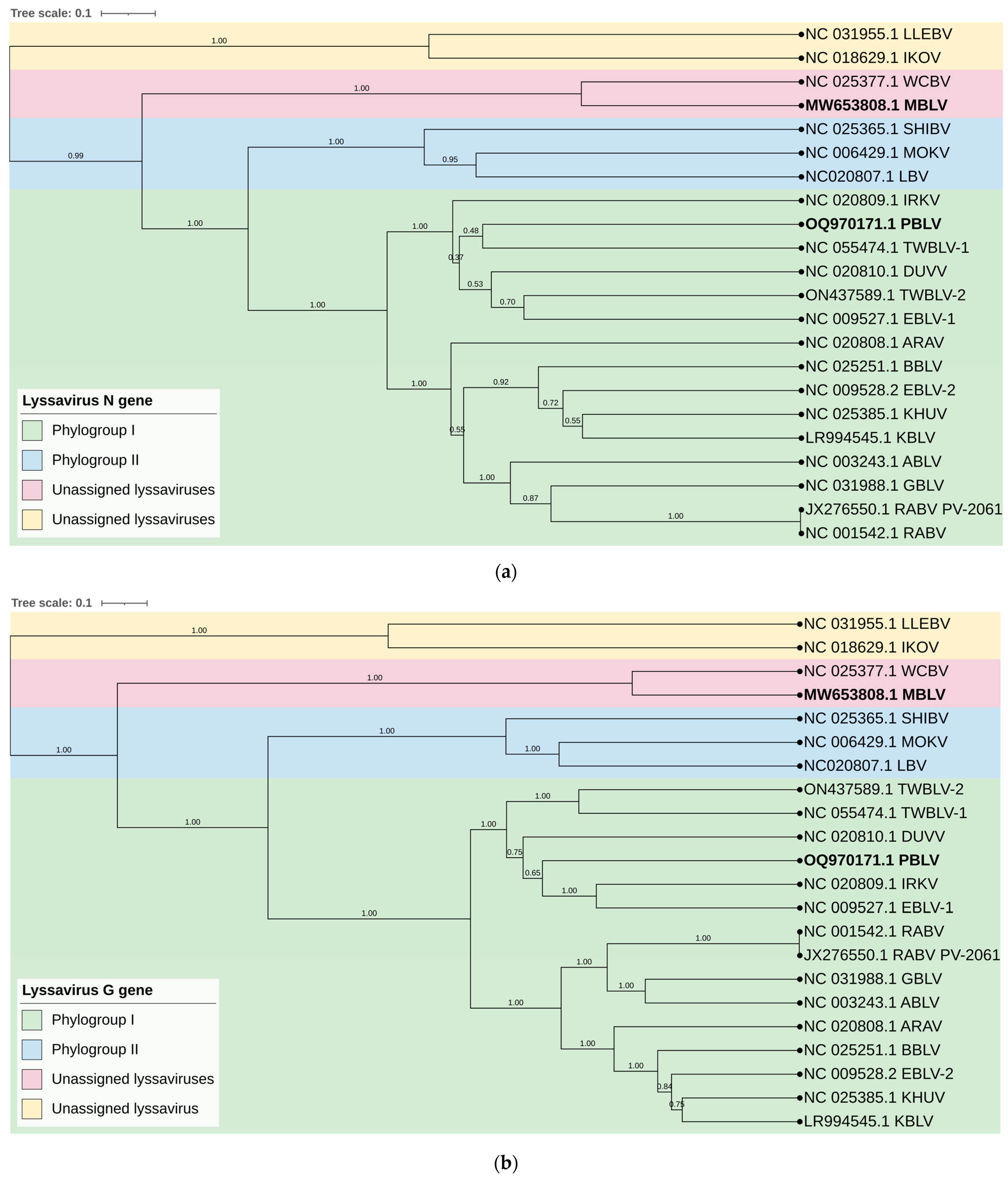 Viruses 15 02047 g002a