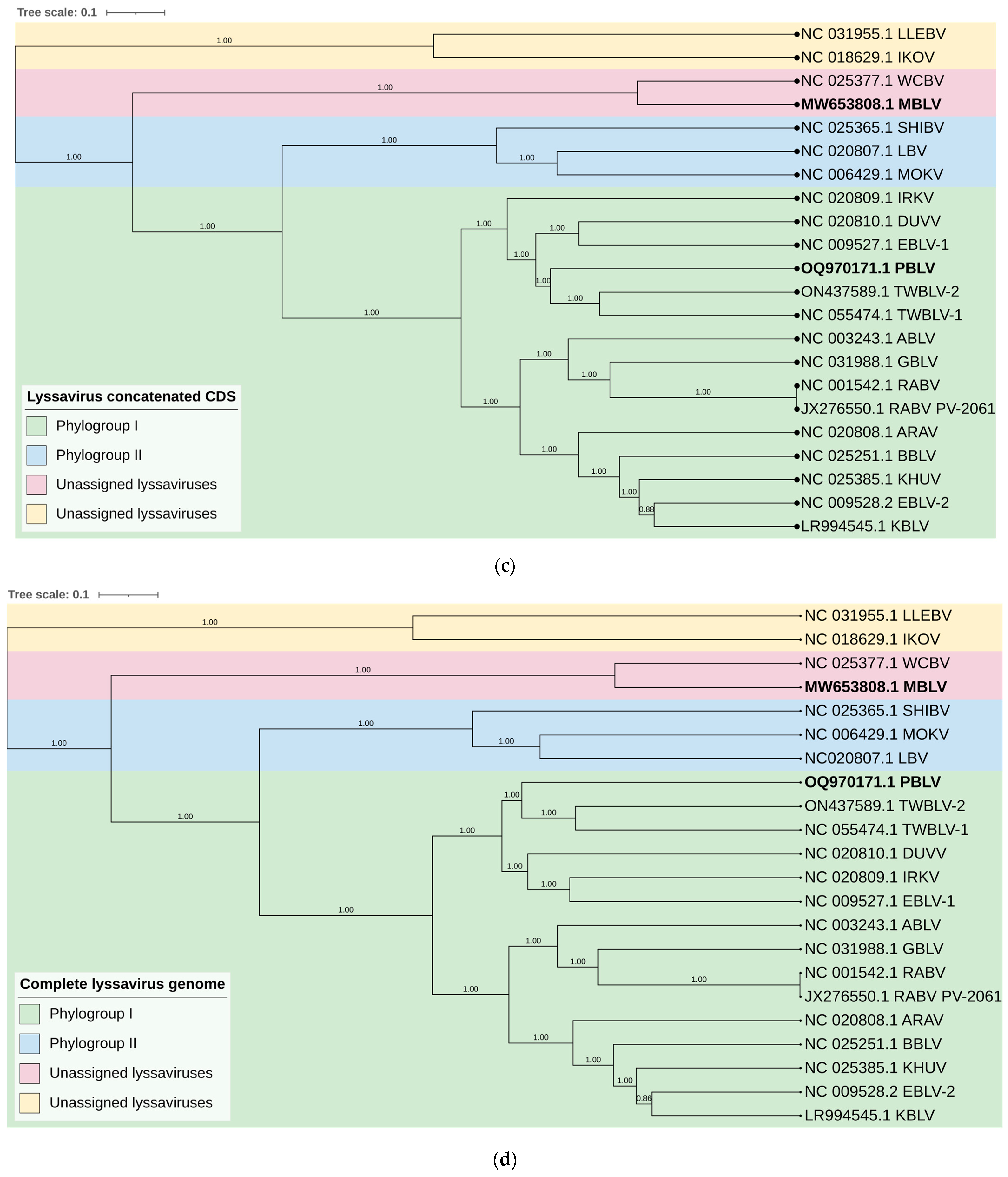 Viruses 15 02047 g002b