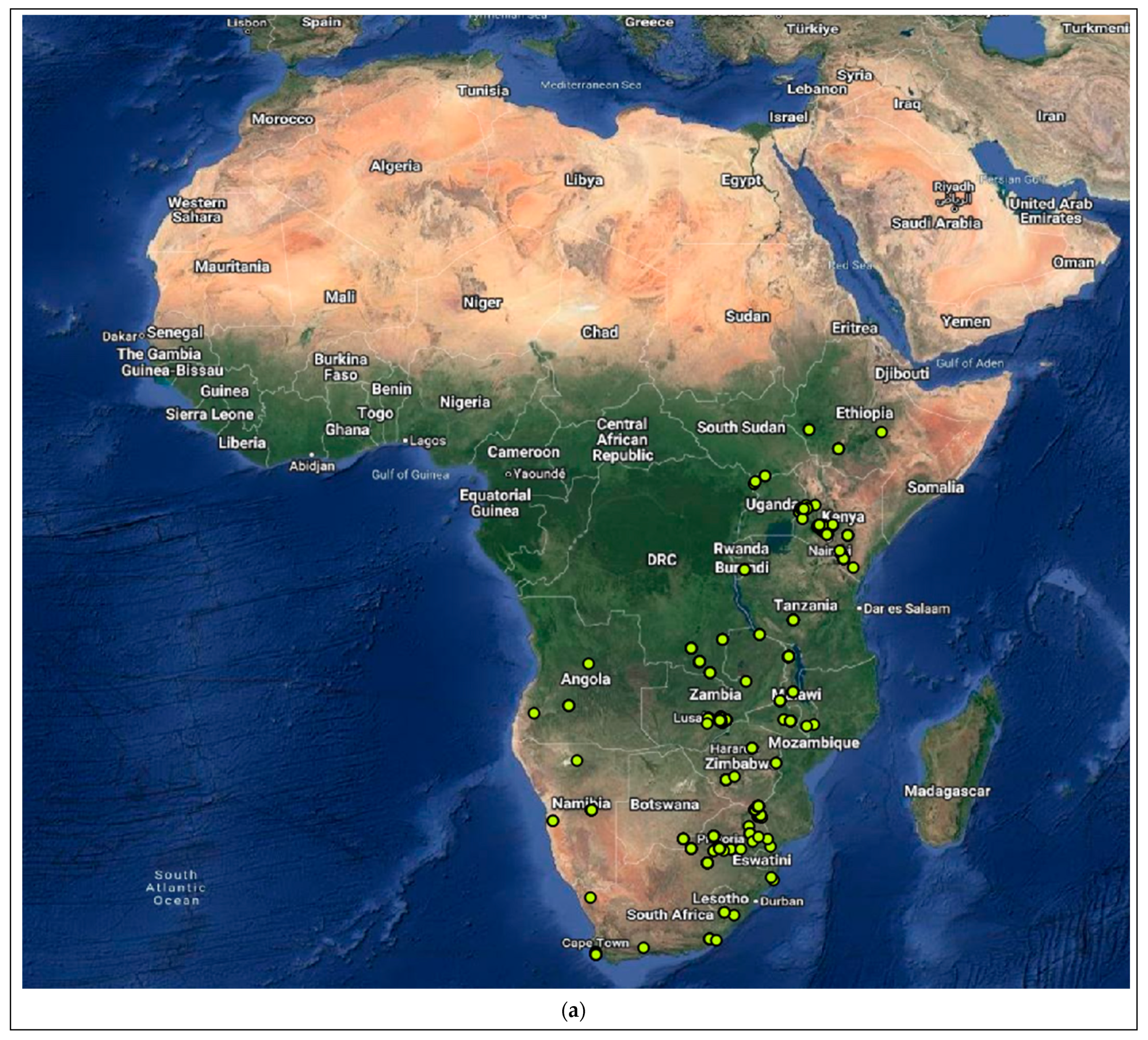 Viruses 15 02047 g004a