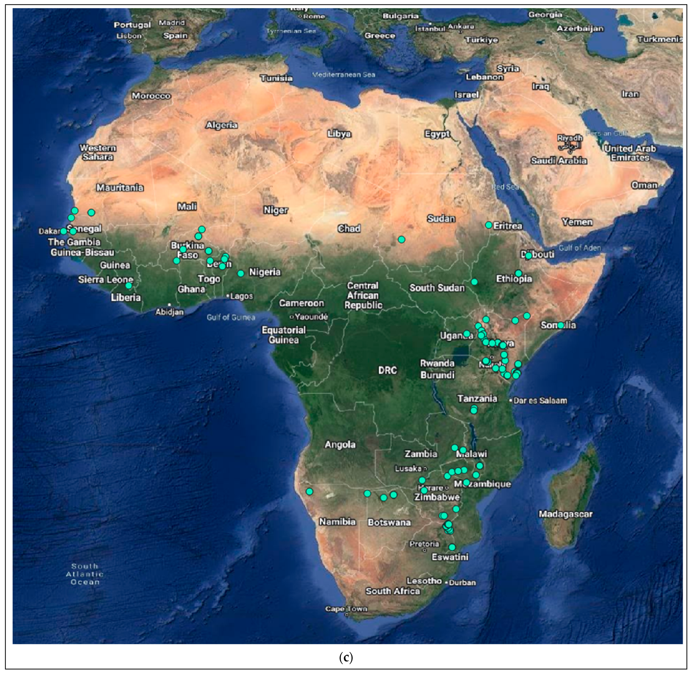 Viruses 15 02047 g004c