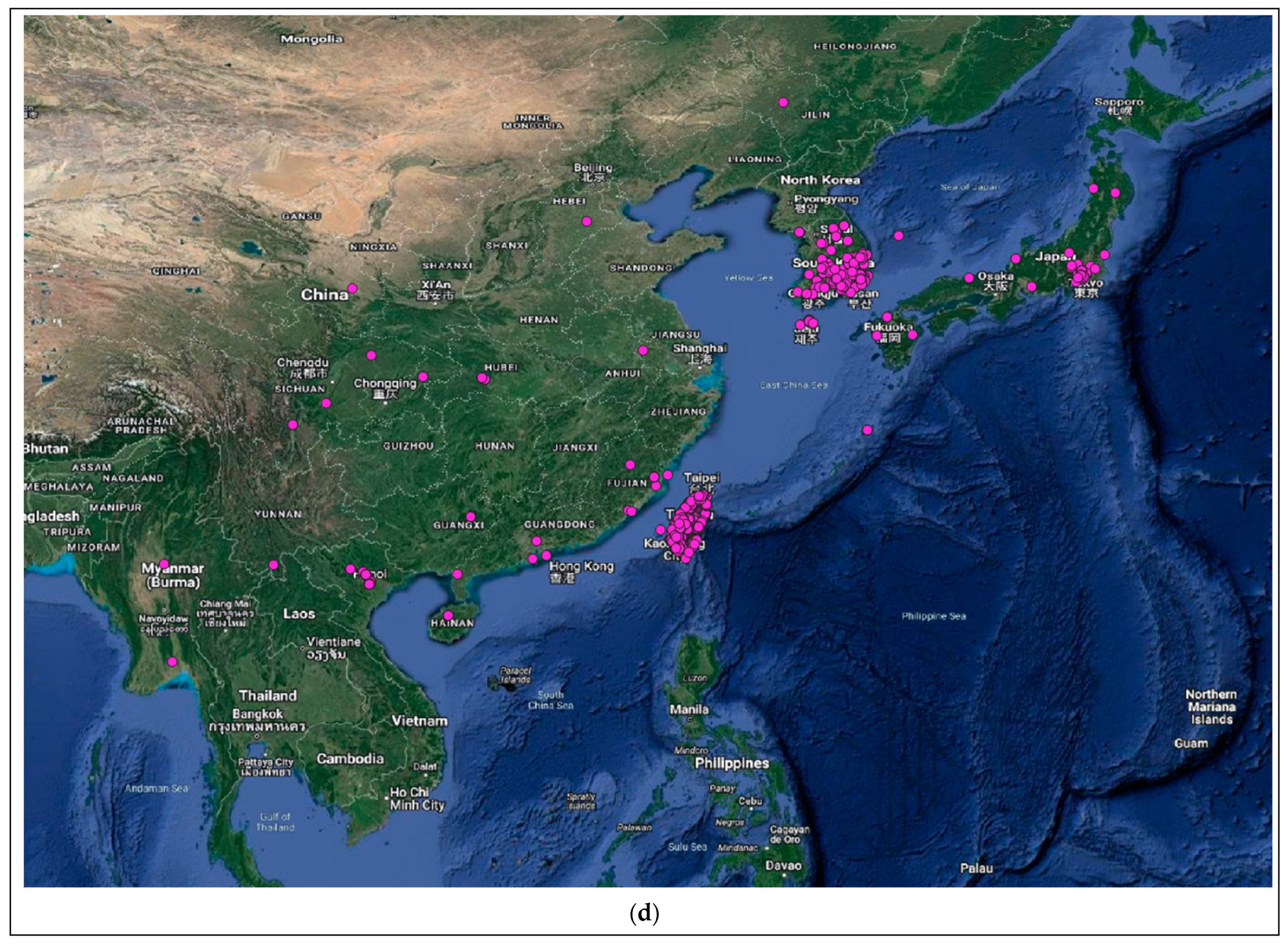 Viruses 15 02047 g004d