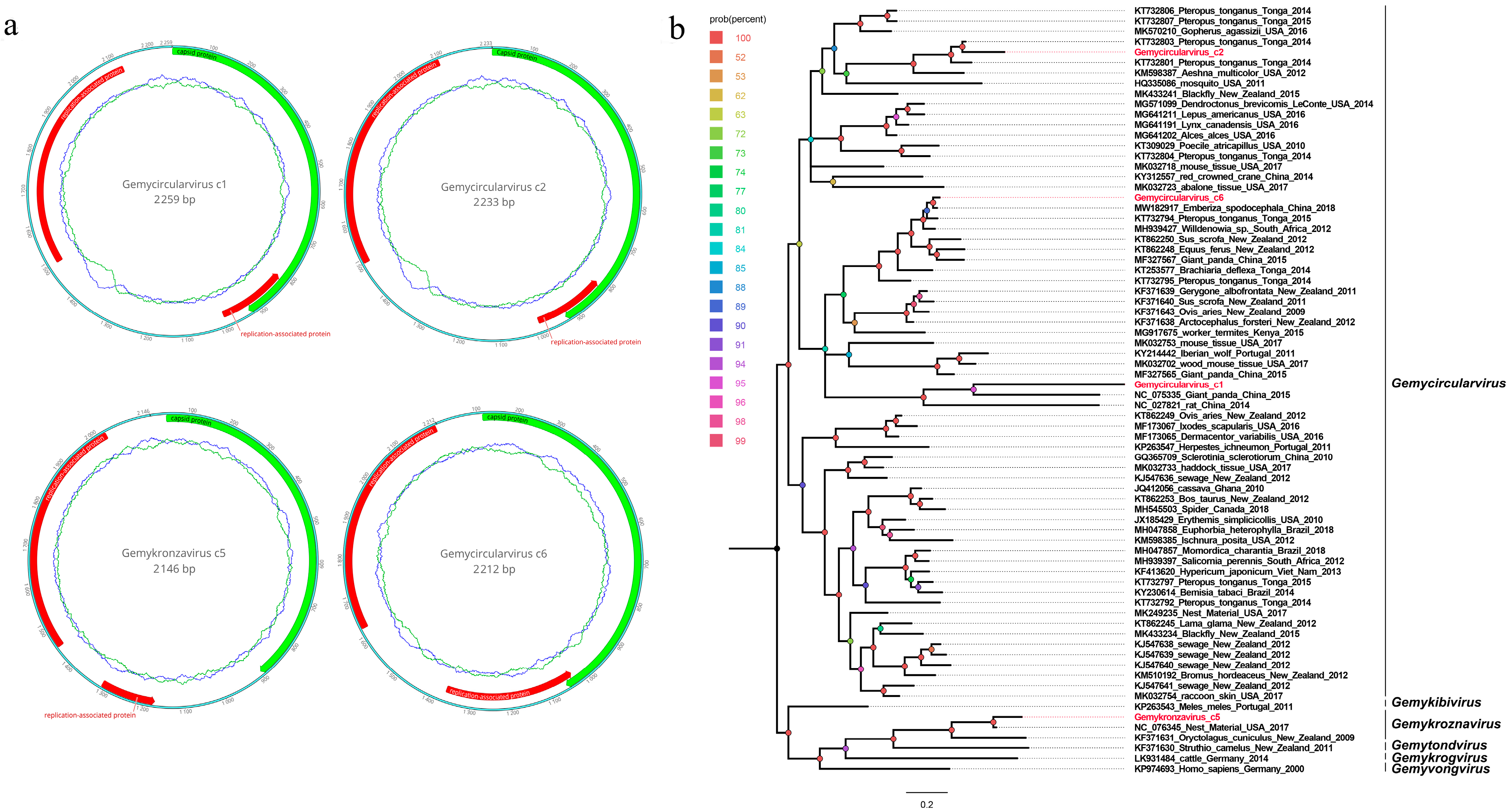Viruses 15 02068 g004