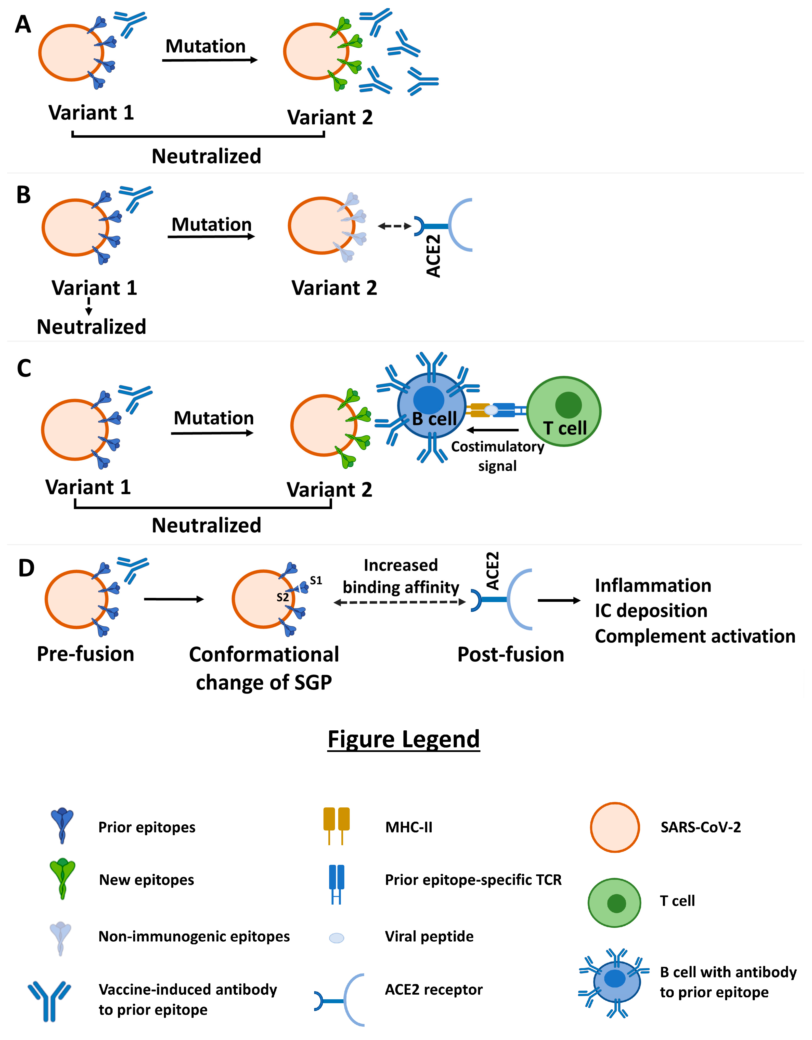 Viruses 15 02079 g001