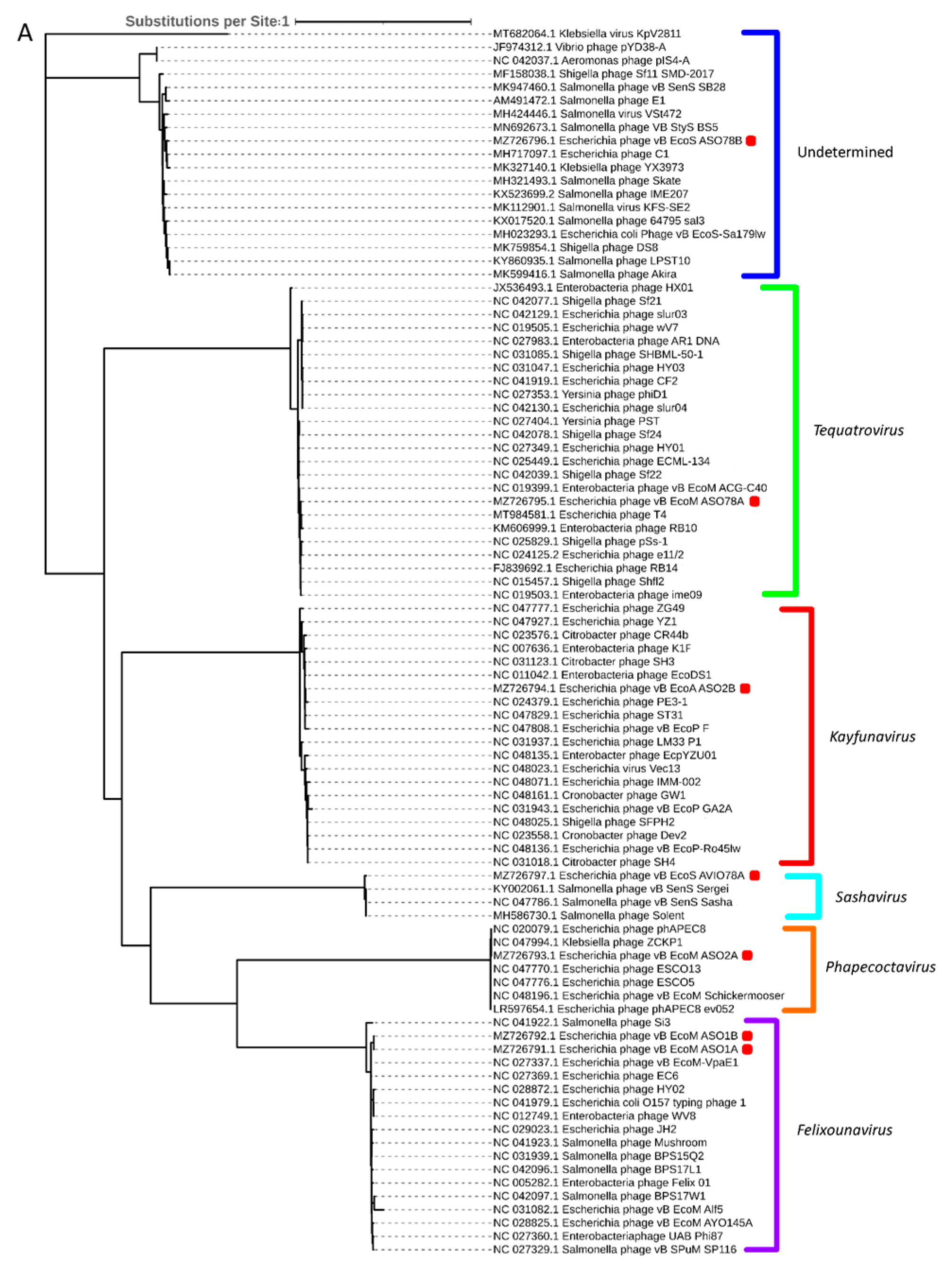 Viruses 15 02095 g005a
