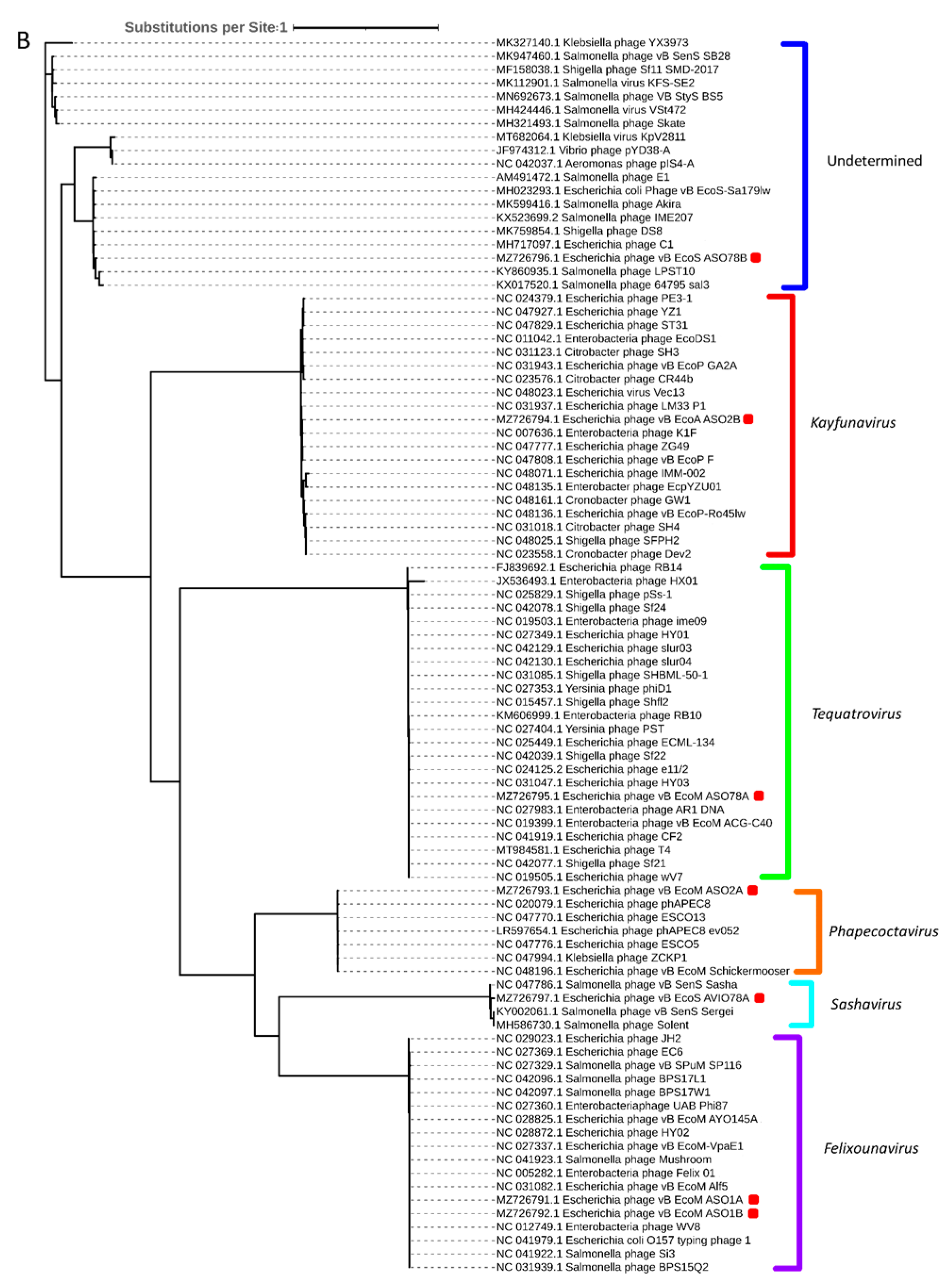 Viruses 15 02095 g005b