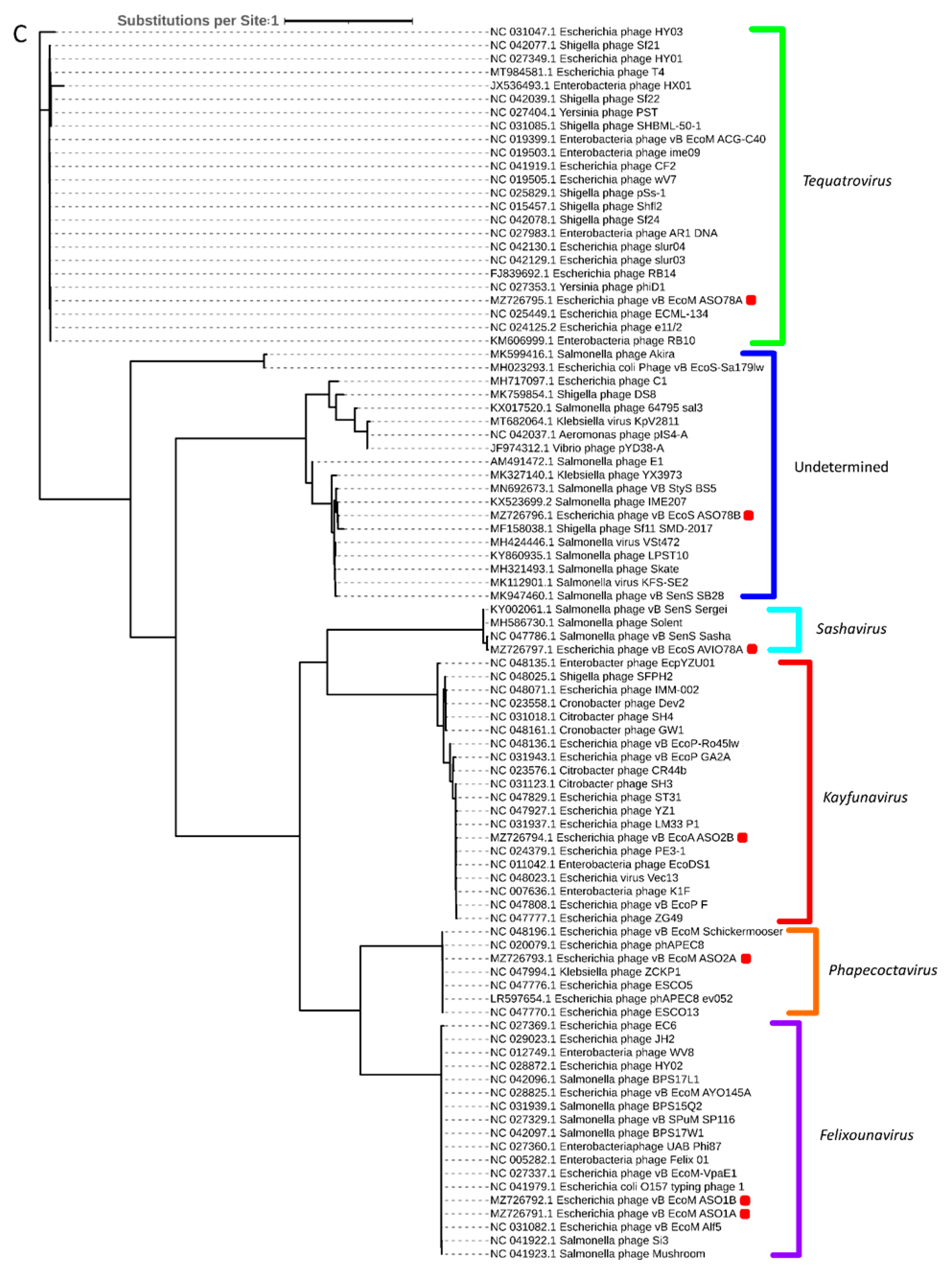 Viruses 15 02095 g005c