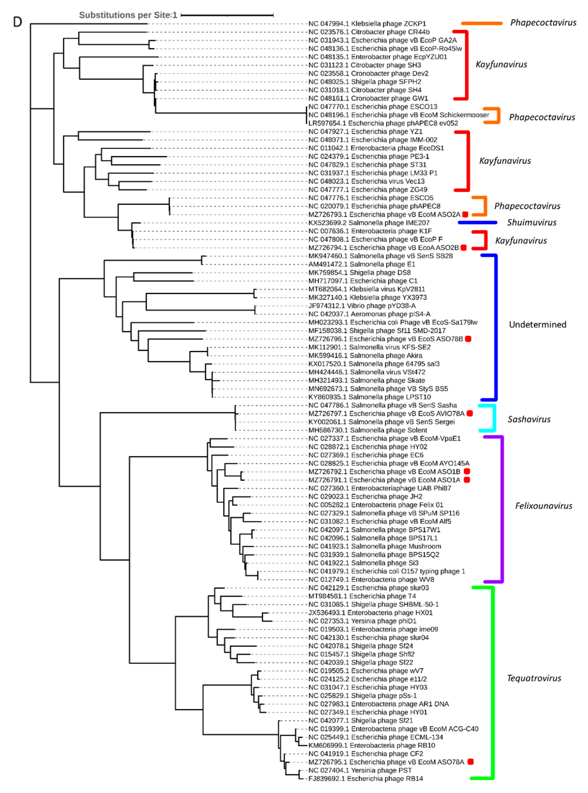 Viruses 15 02095 g005d