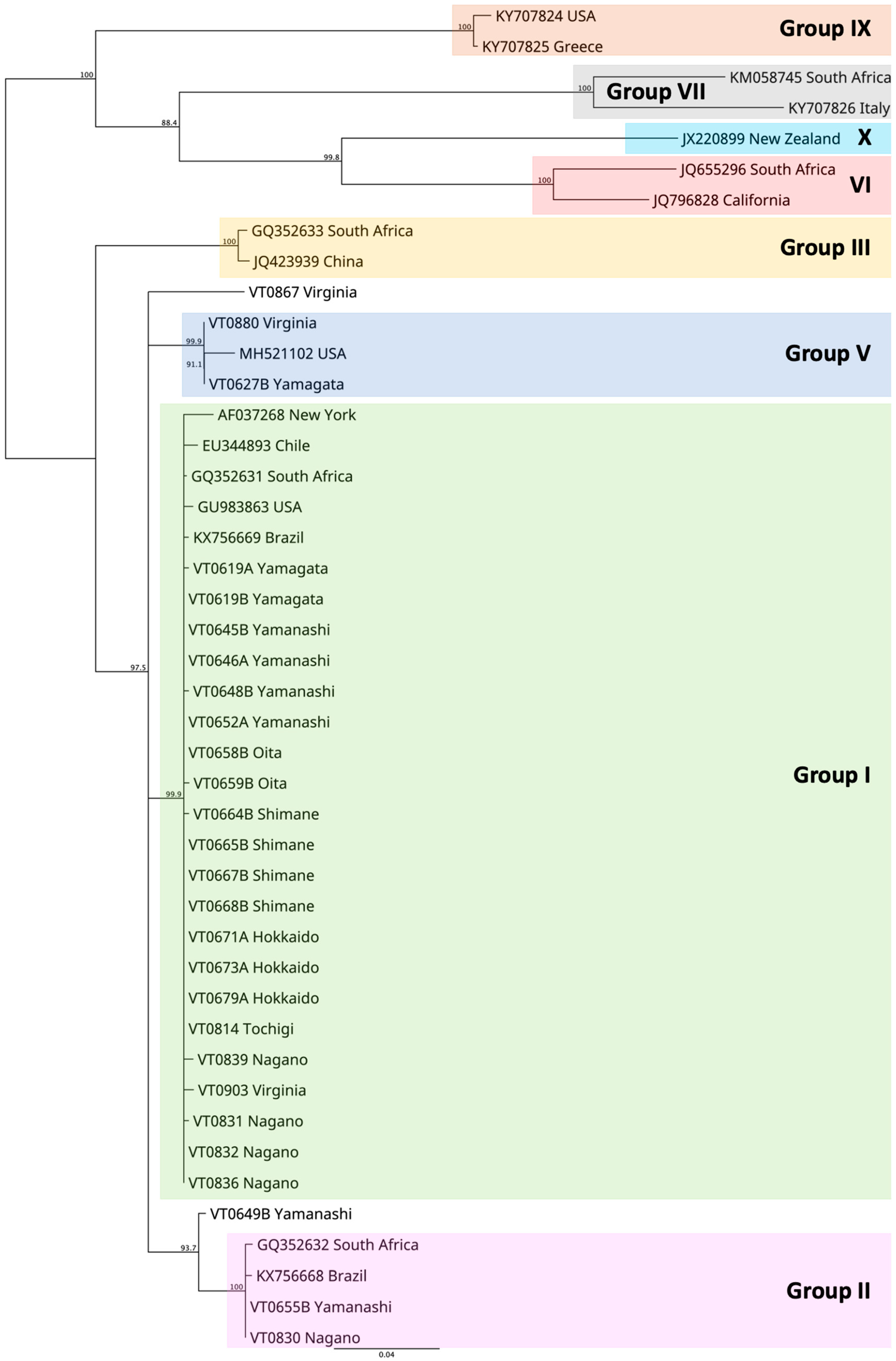 Viruses 15 02102 g002