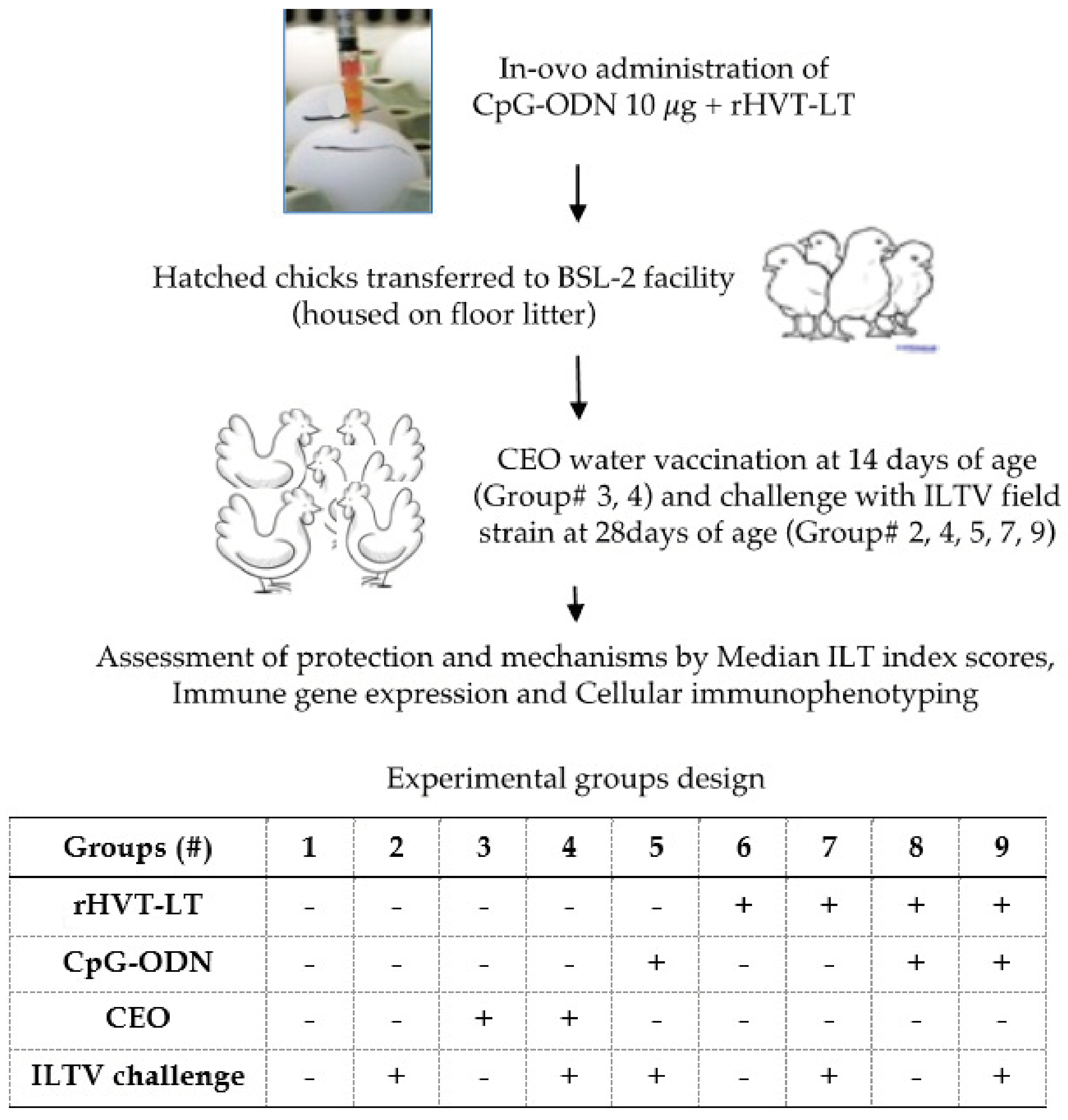 Viruses 15 02103 g001