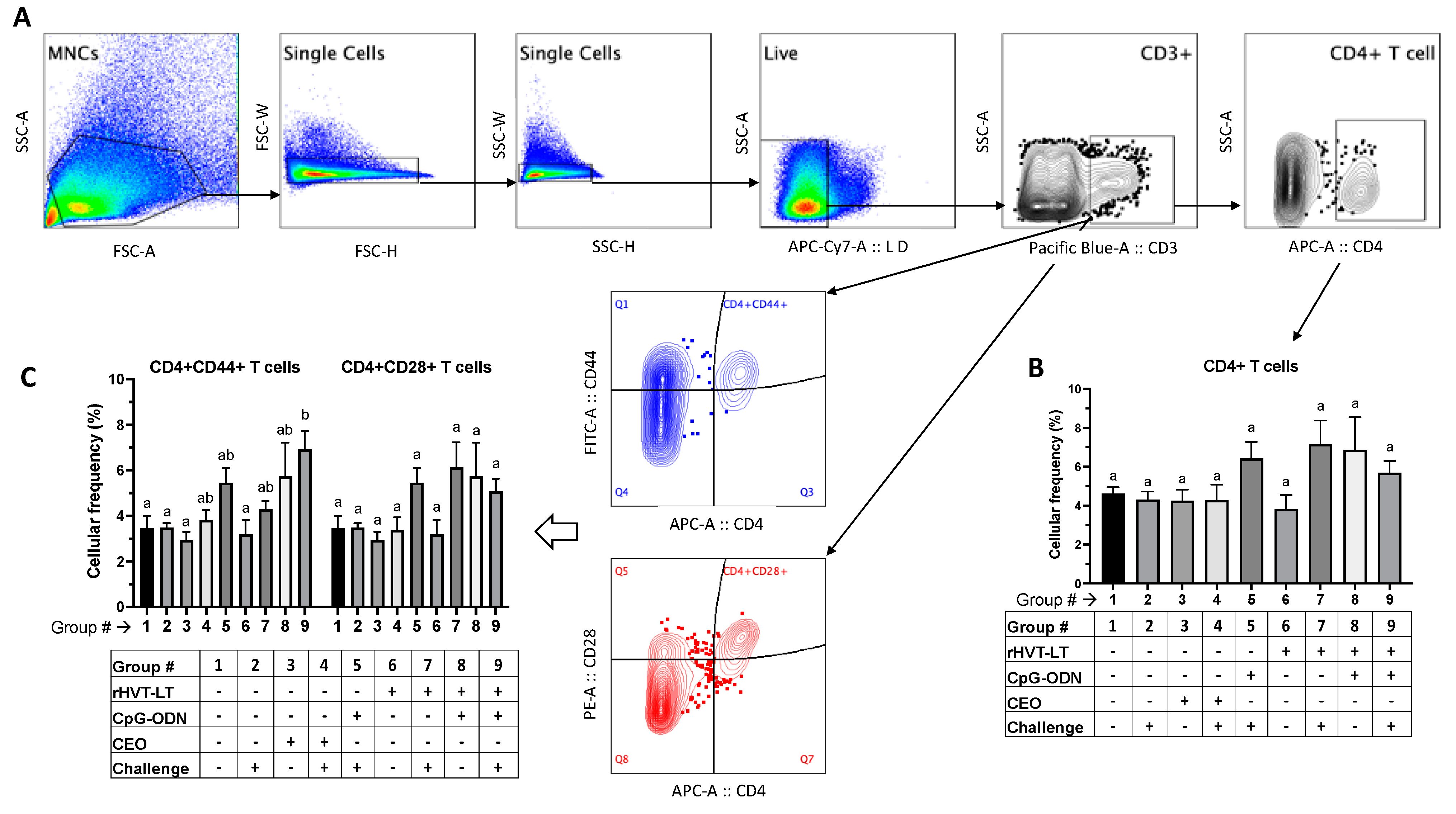 Viruses 15 02103 g005