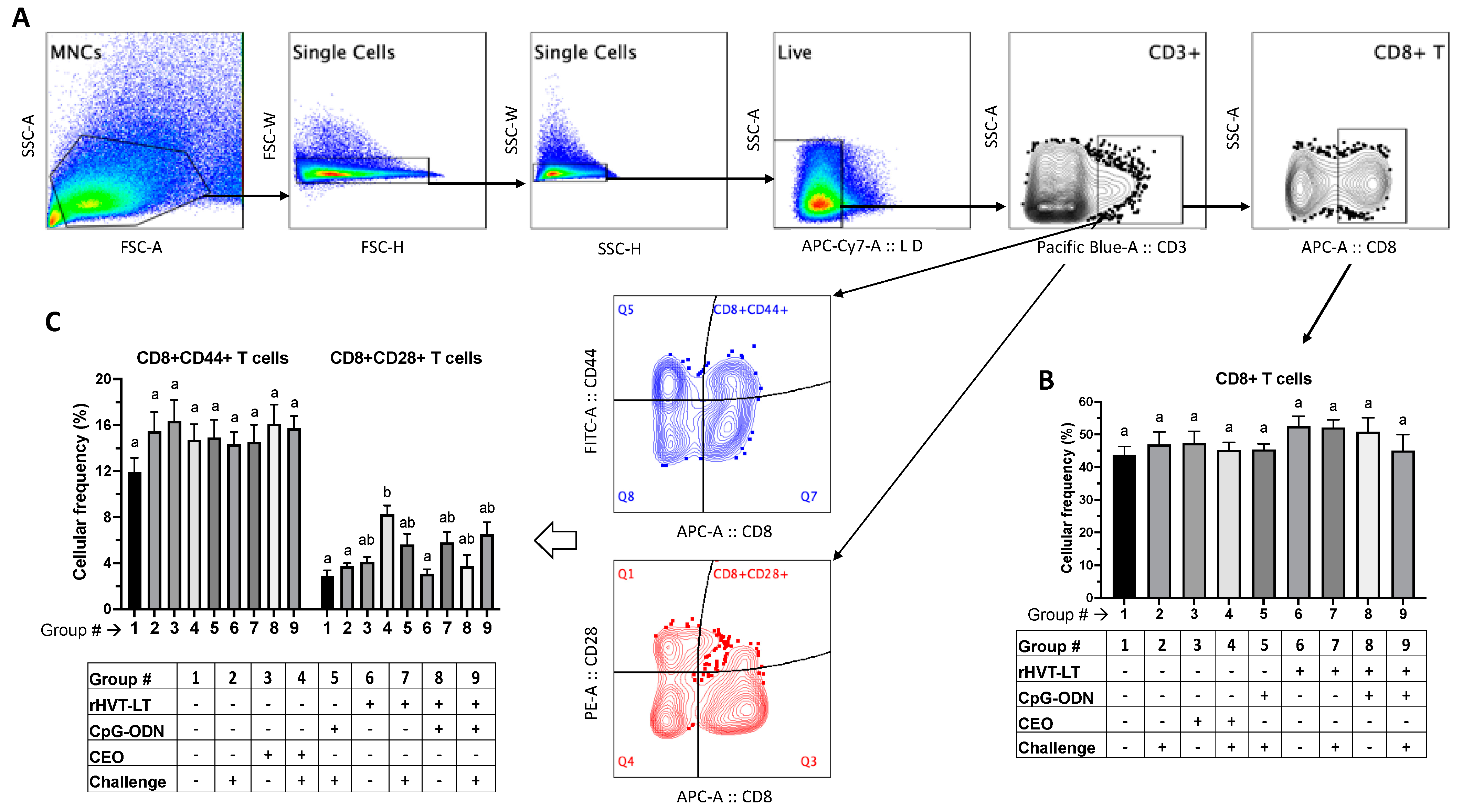 Viruses 15 02103 g006