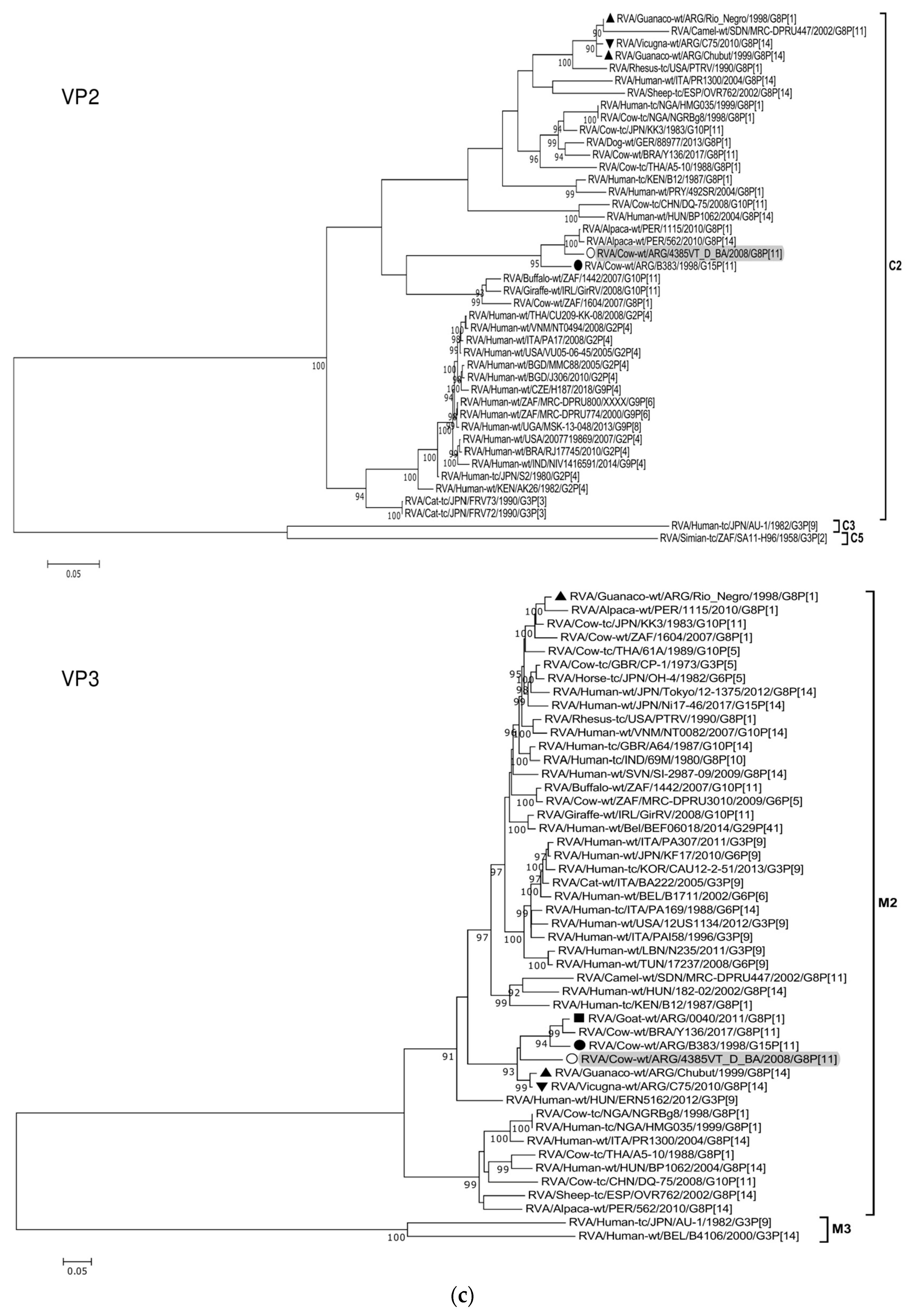 Viruses 15 02115 g002c