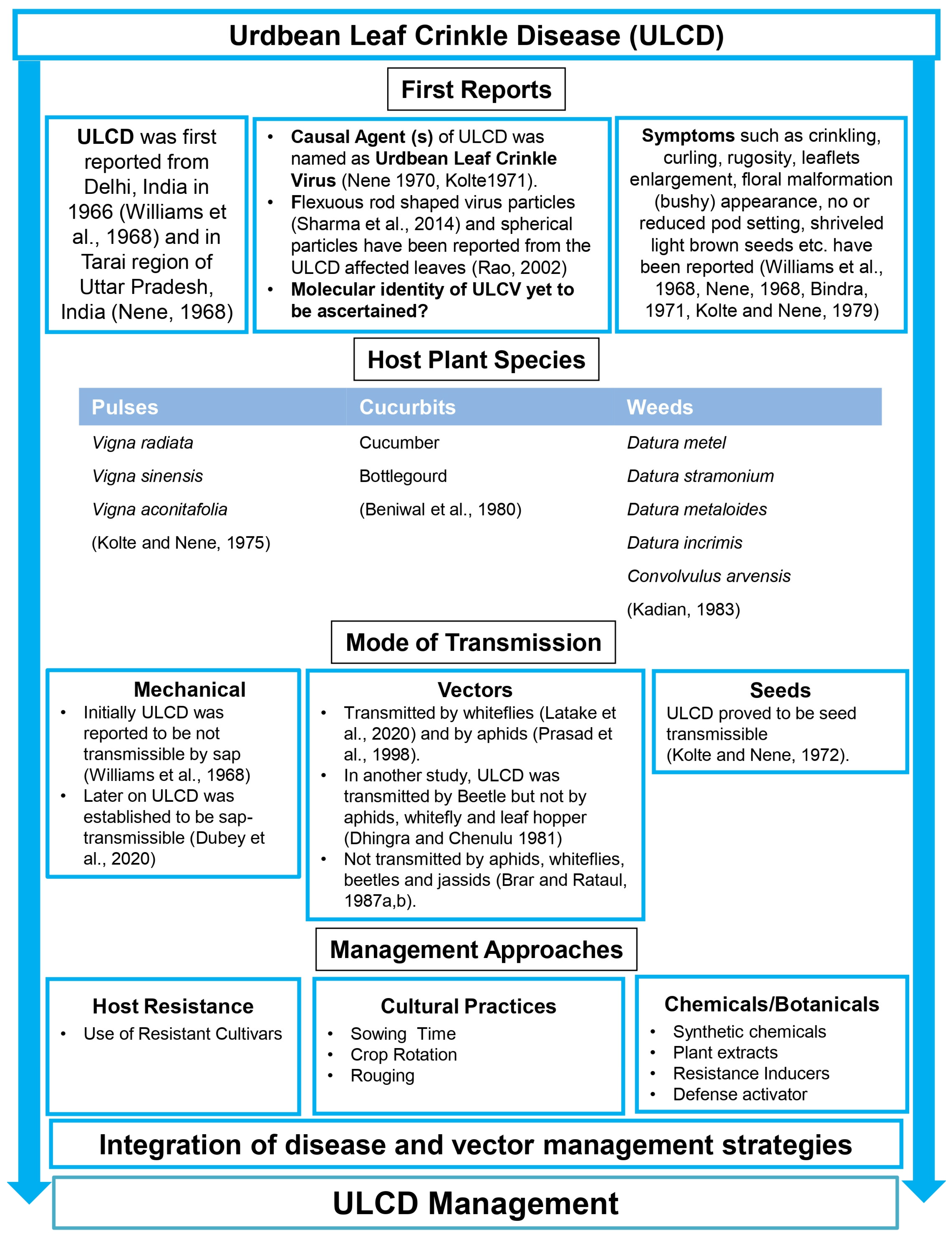 Viruses 15 02120 g001
