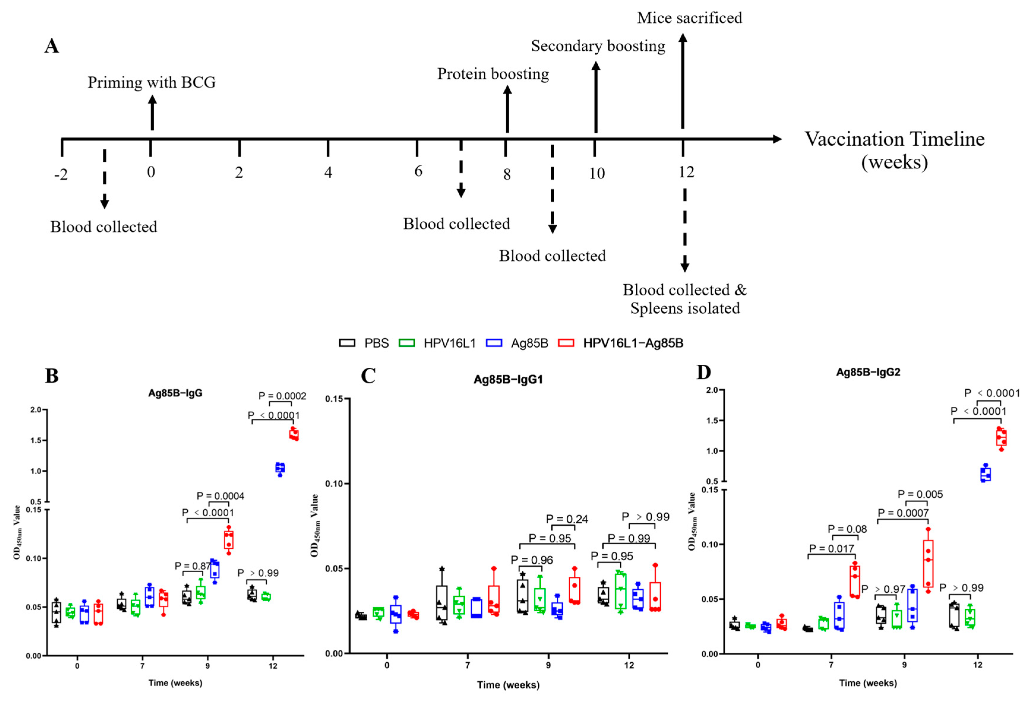 Viruses 15 02123 g006