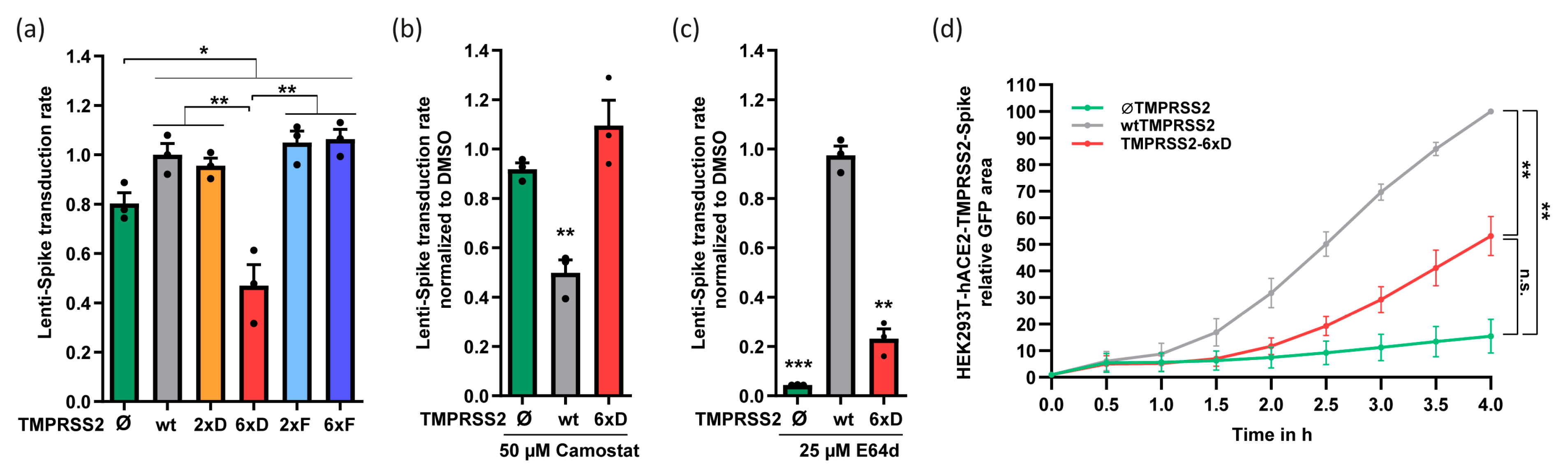 Viruses 15 02124 g002