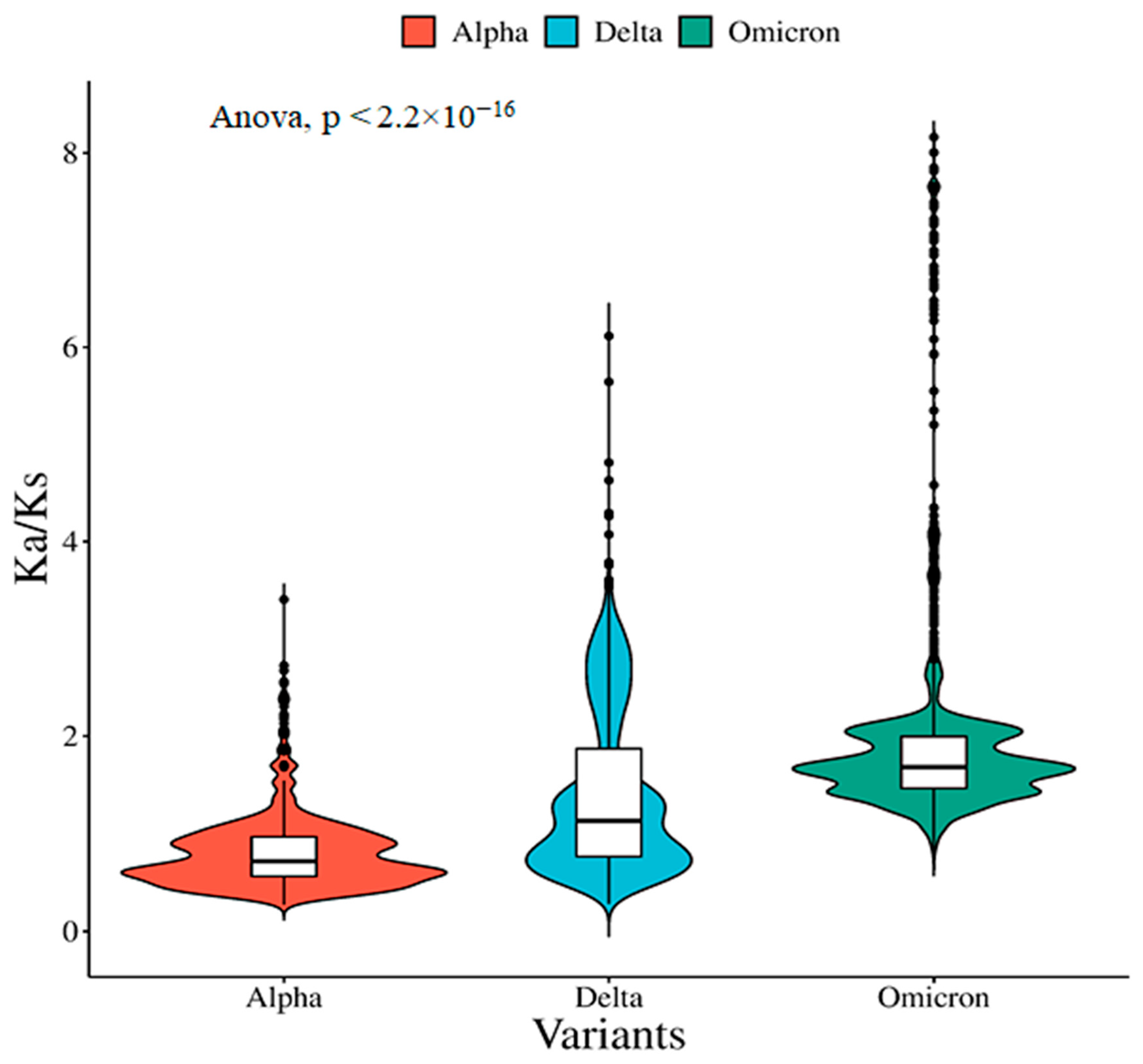Viruses 15 02132 g002
