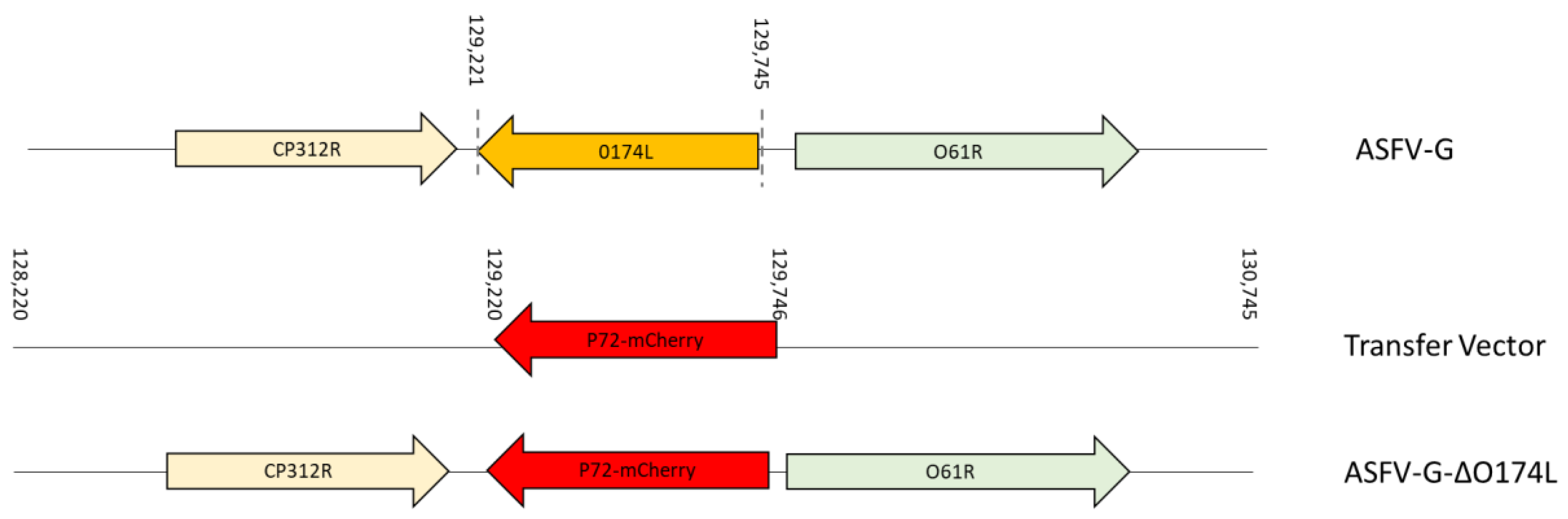 Viruses 15 02134 g004