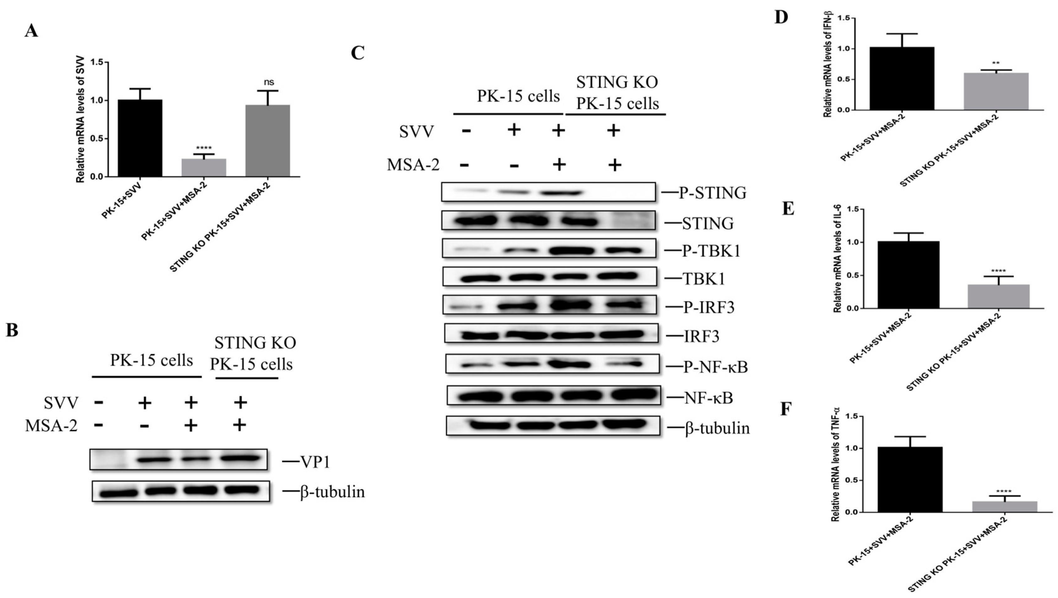 Viruses 15 02138 g003