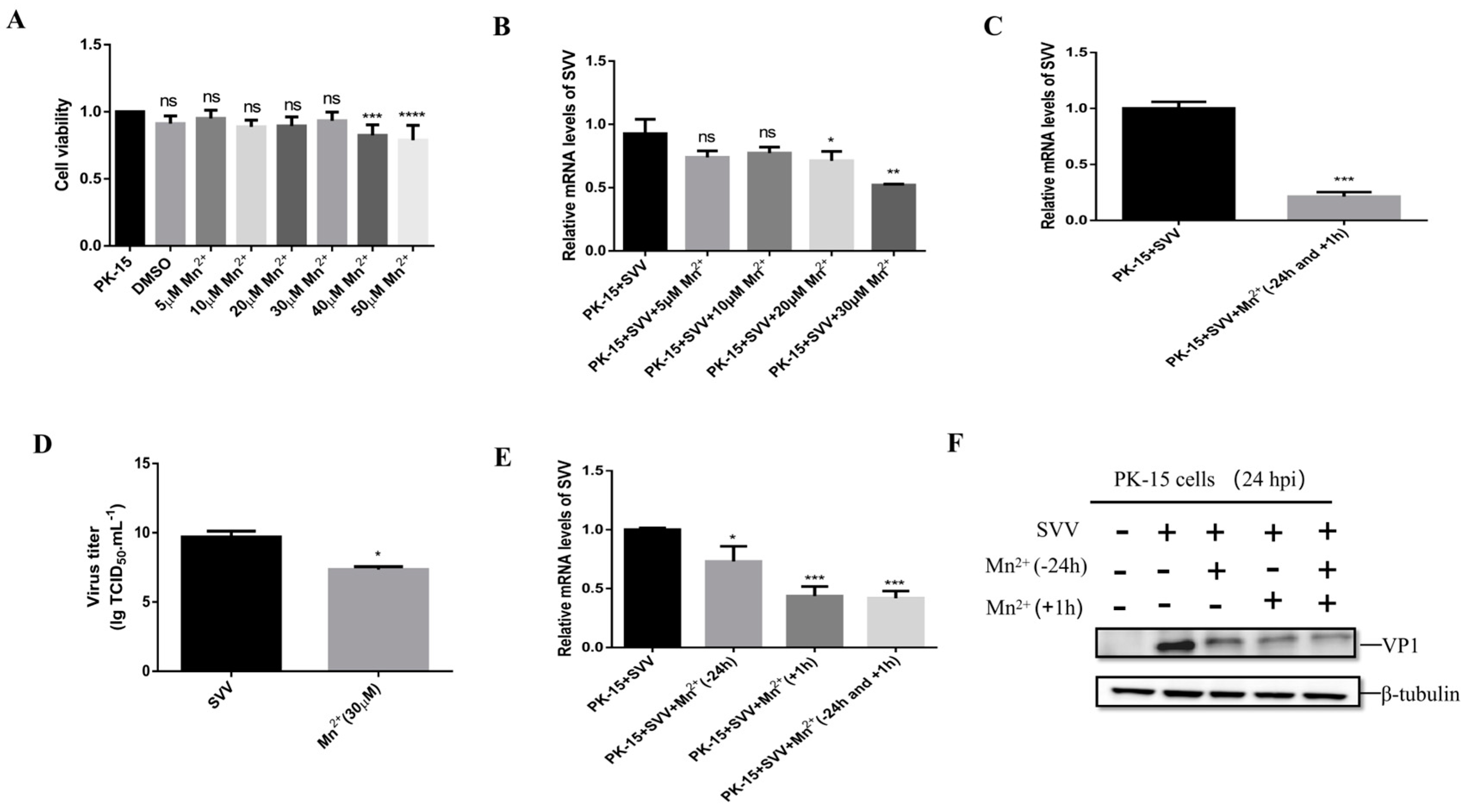 Viruses 15 02138 g004