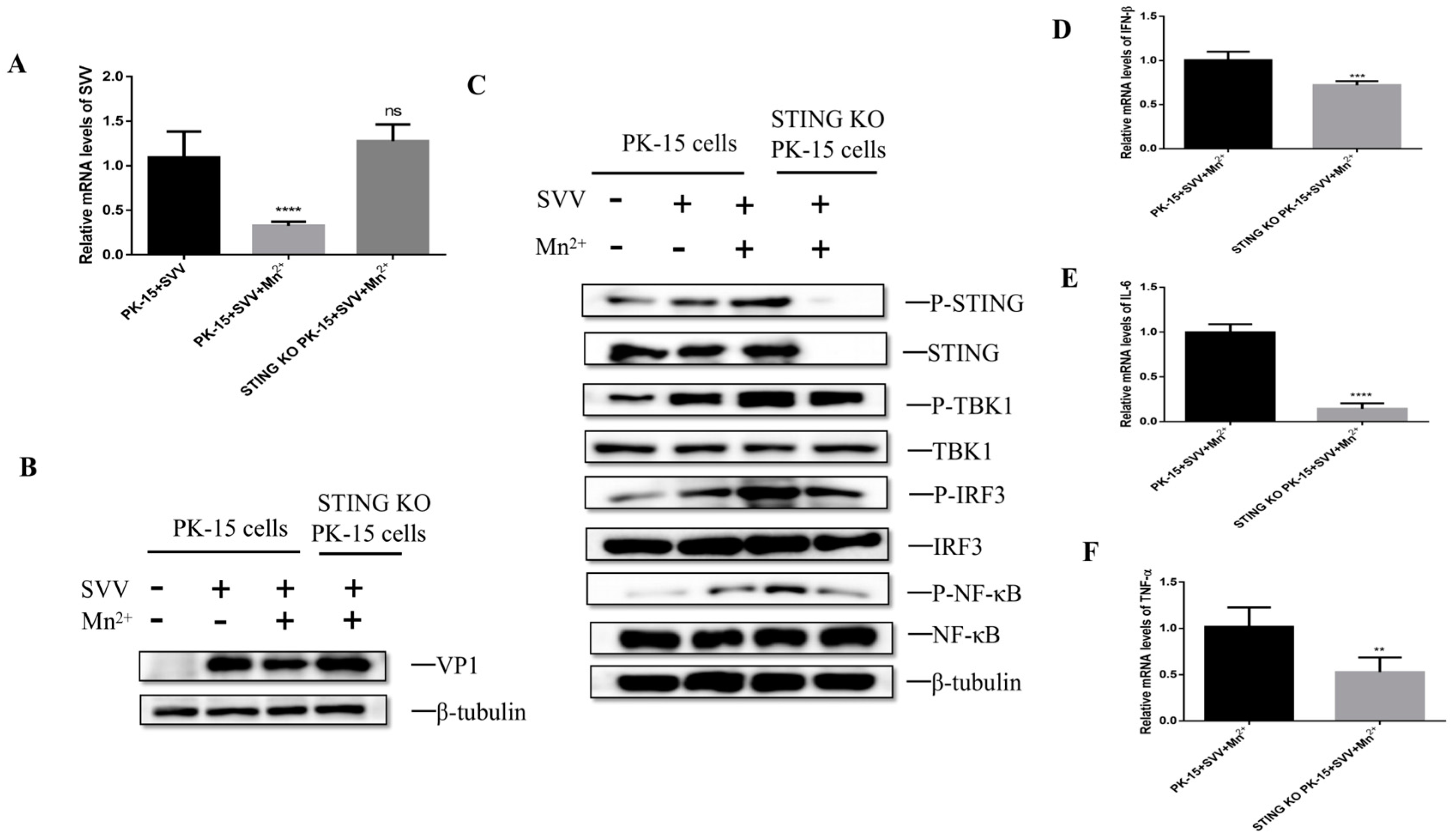 Viruses 15 02138 g006