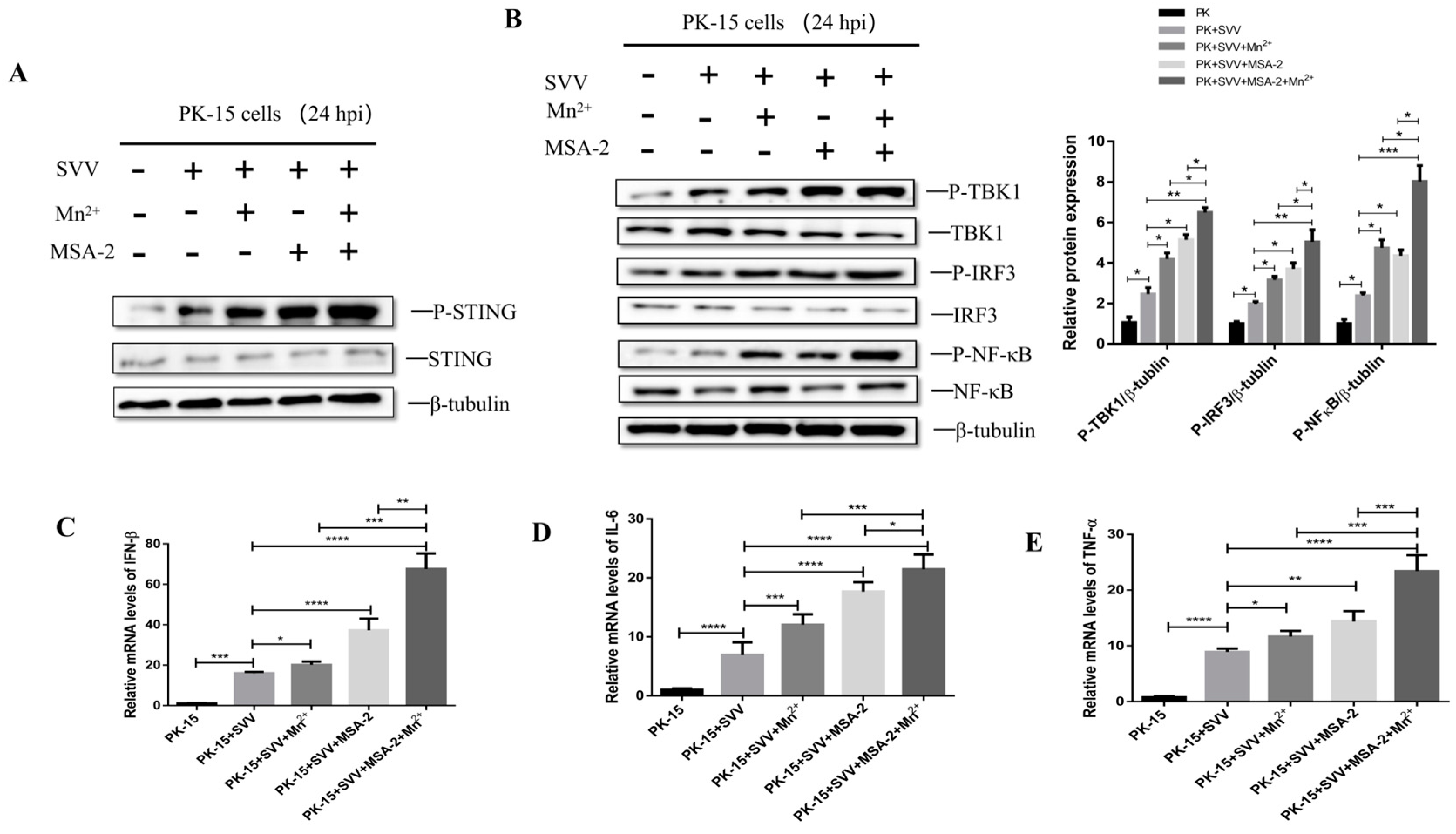 Viruses 15 02138 g008
