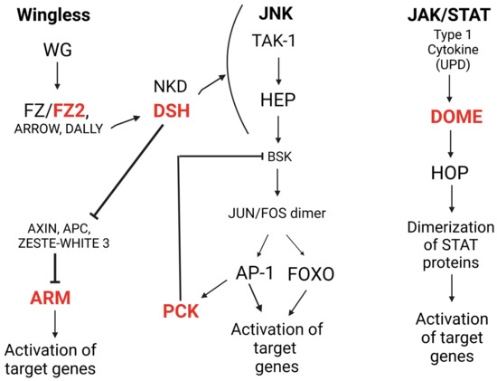 Viruses 15 02140 g001