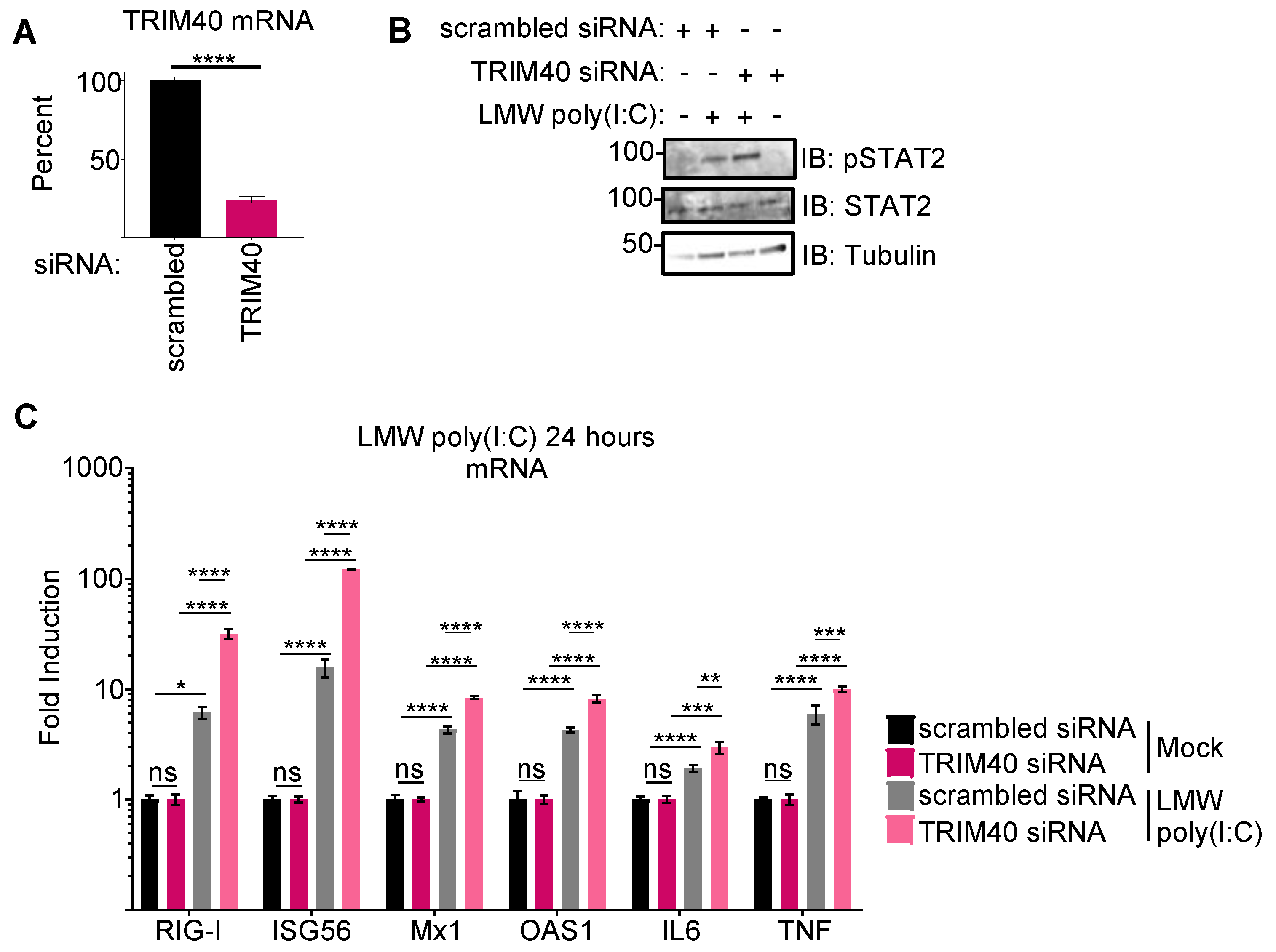 Viruses 15 02147 g002
