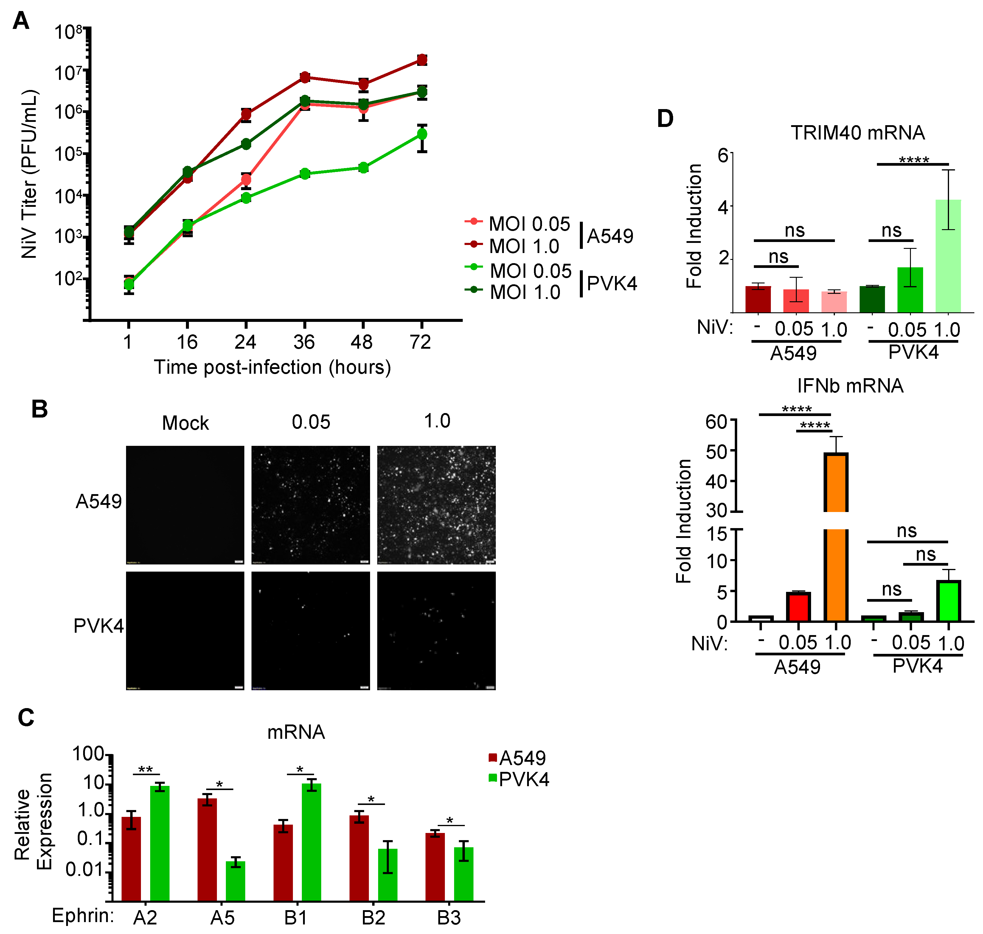 Viruses 15 02147 g005