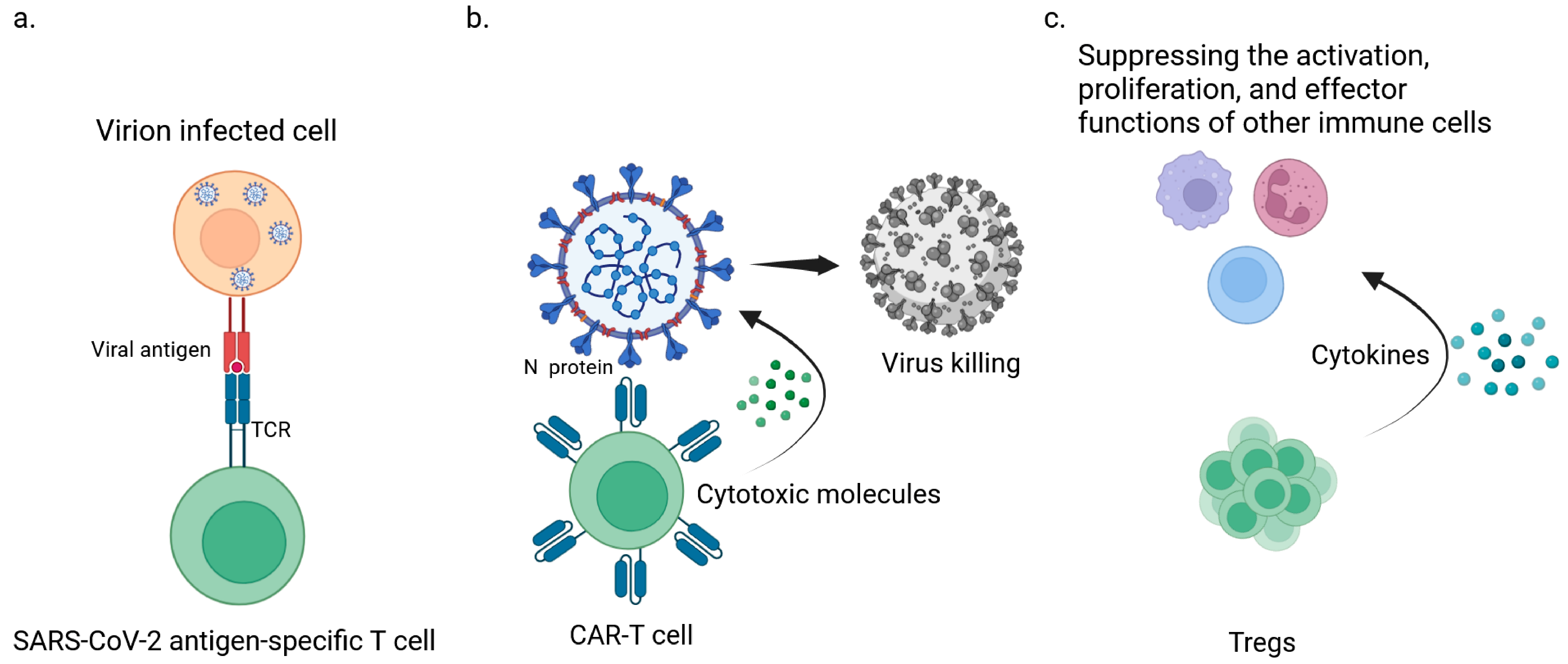 Viruses 15 02148 g001
