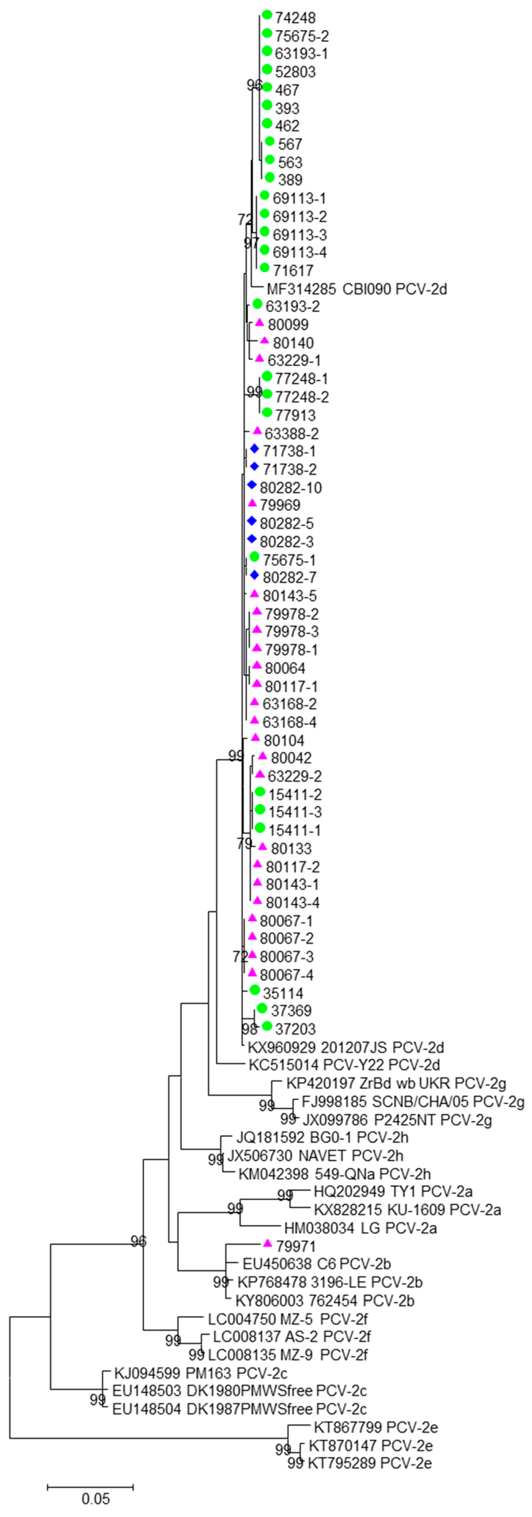Viruses 15 02157 g001 Viruses 15 02157 g001