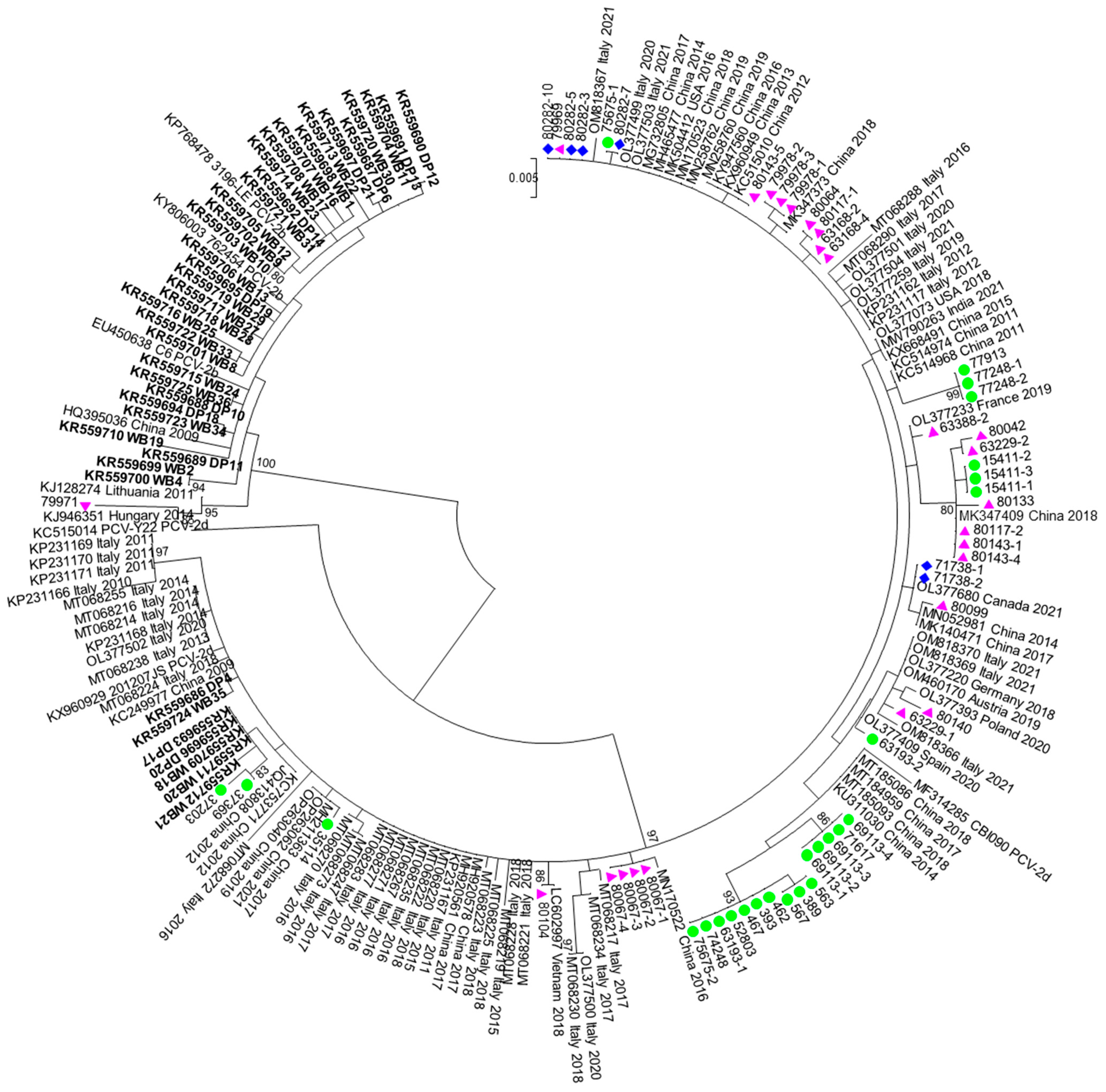 Viruses 15 02157 g002 Viruses 15 02157 g002
