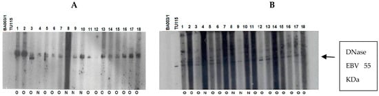 Viruses 15 02158 g006a