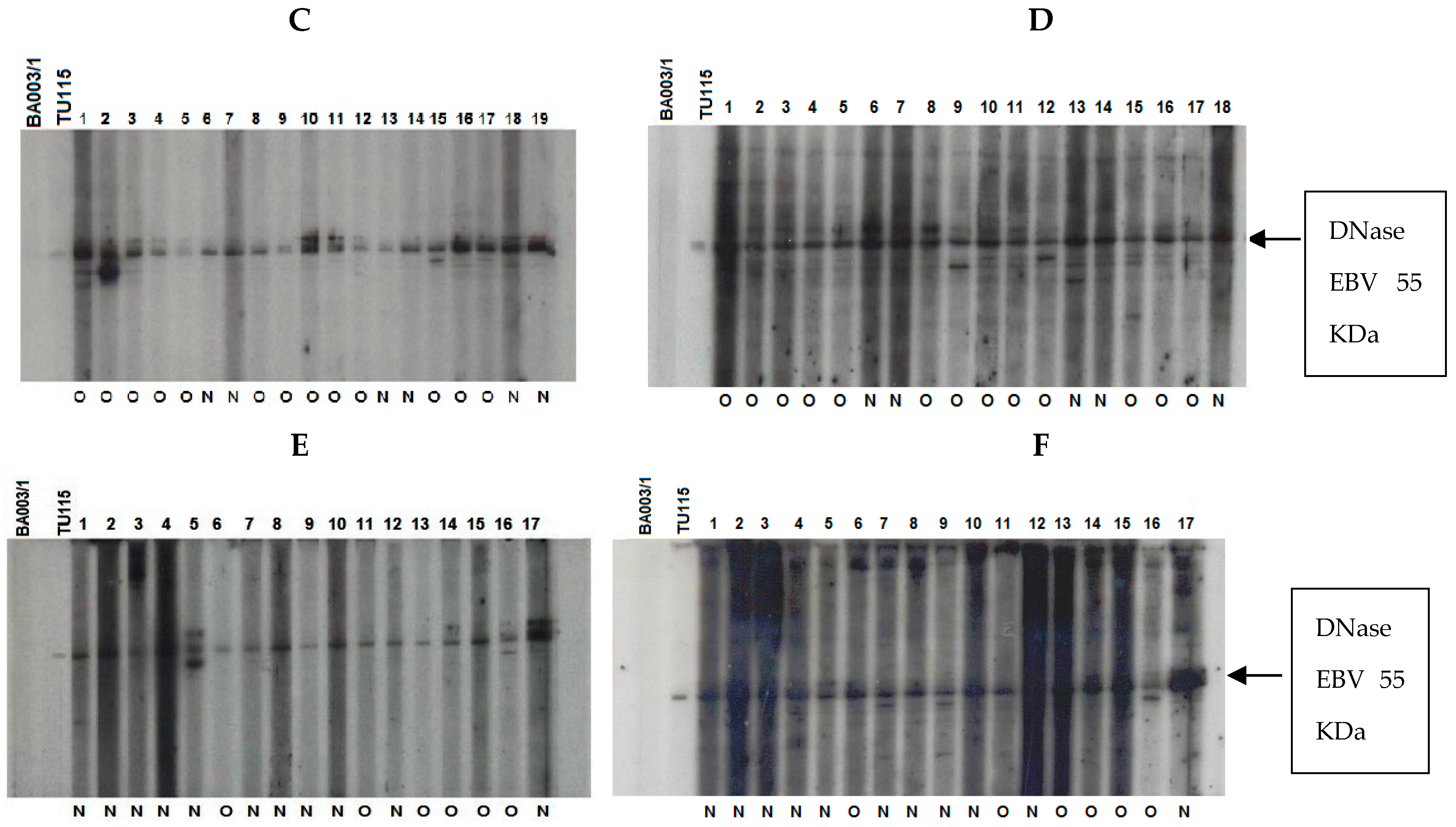 Viruses 15 02158 g006b